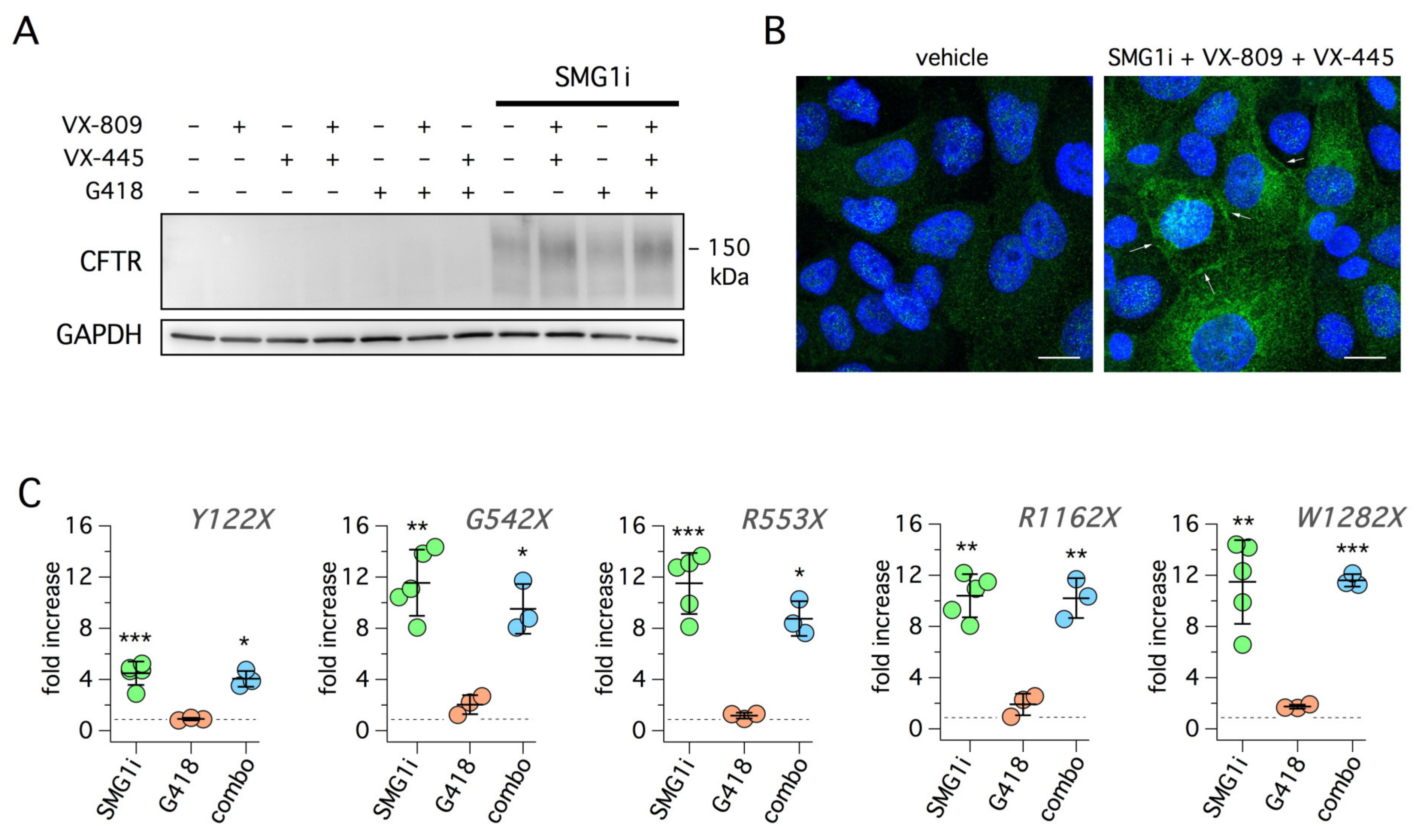 Ijms 22 11972 g008 550