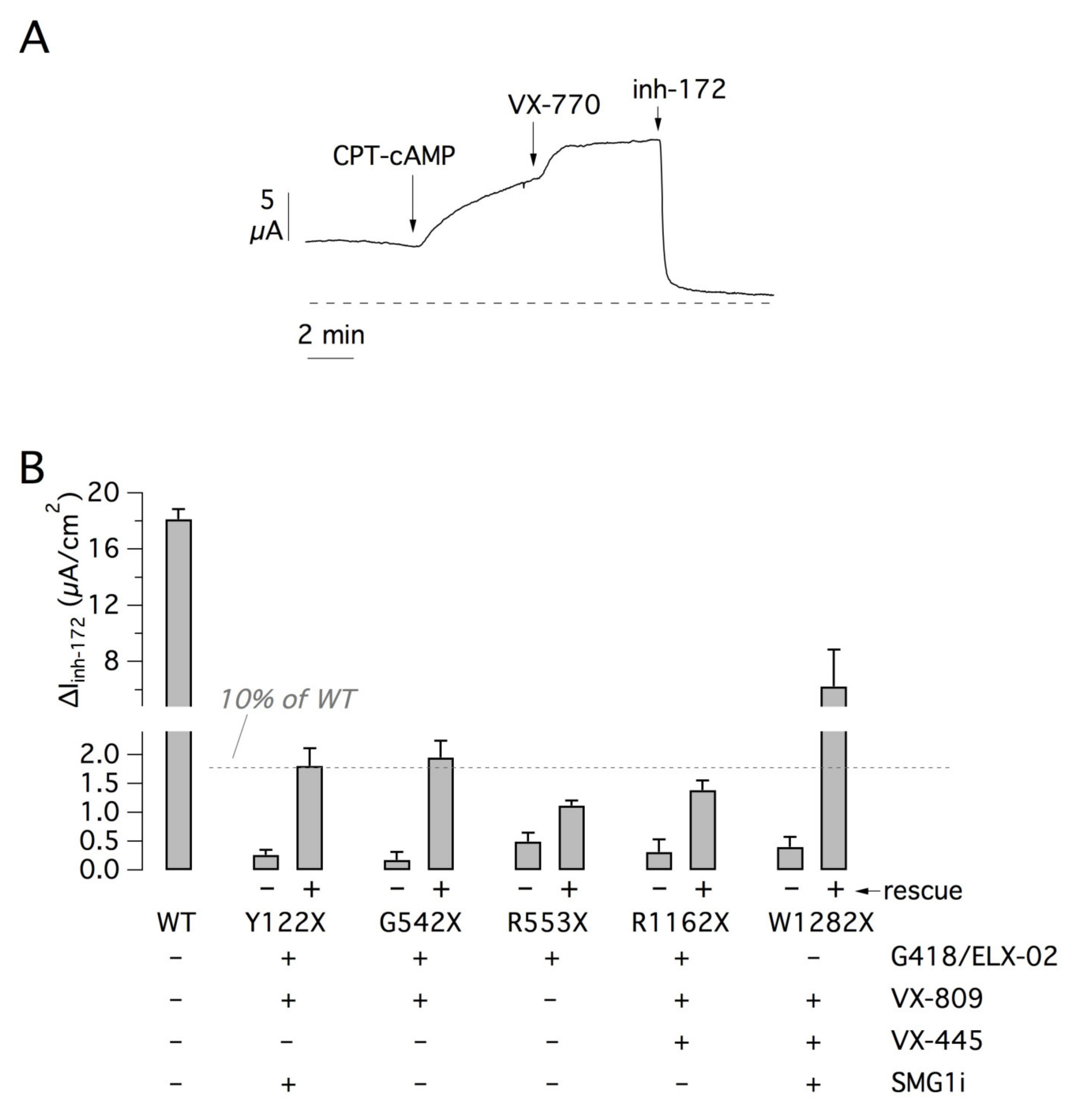 Ijms 22 11972 g010 550