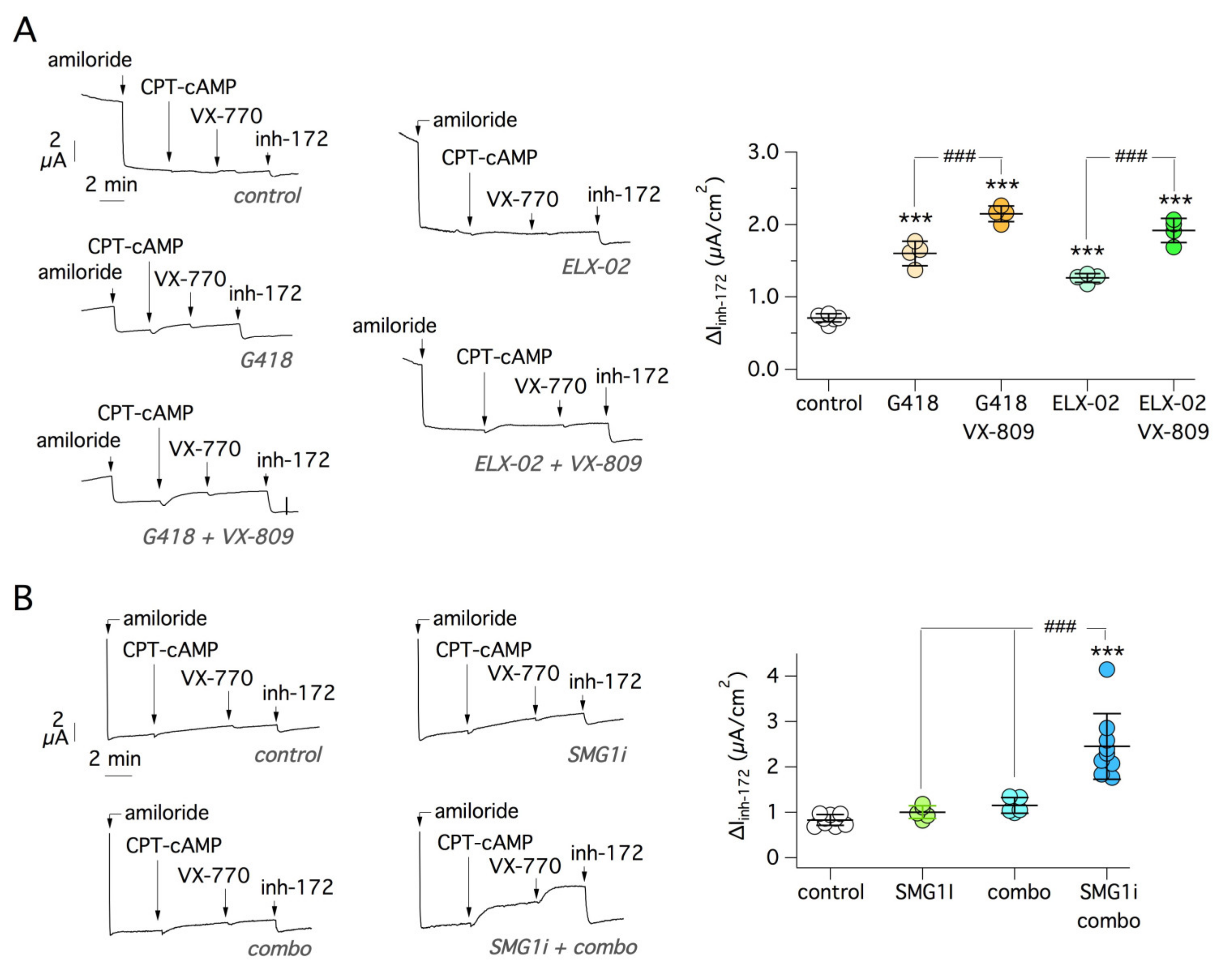 Ijms 22 11972 g011 550
