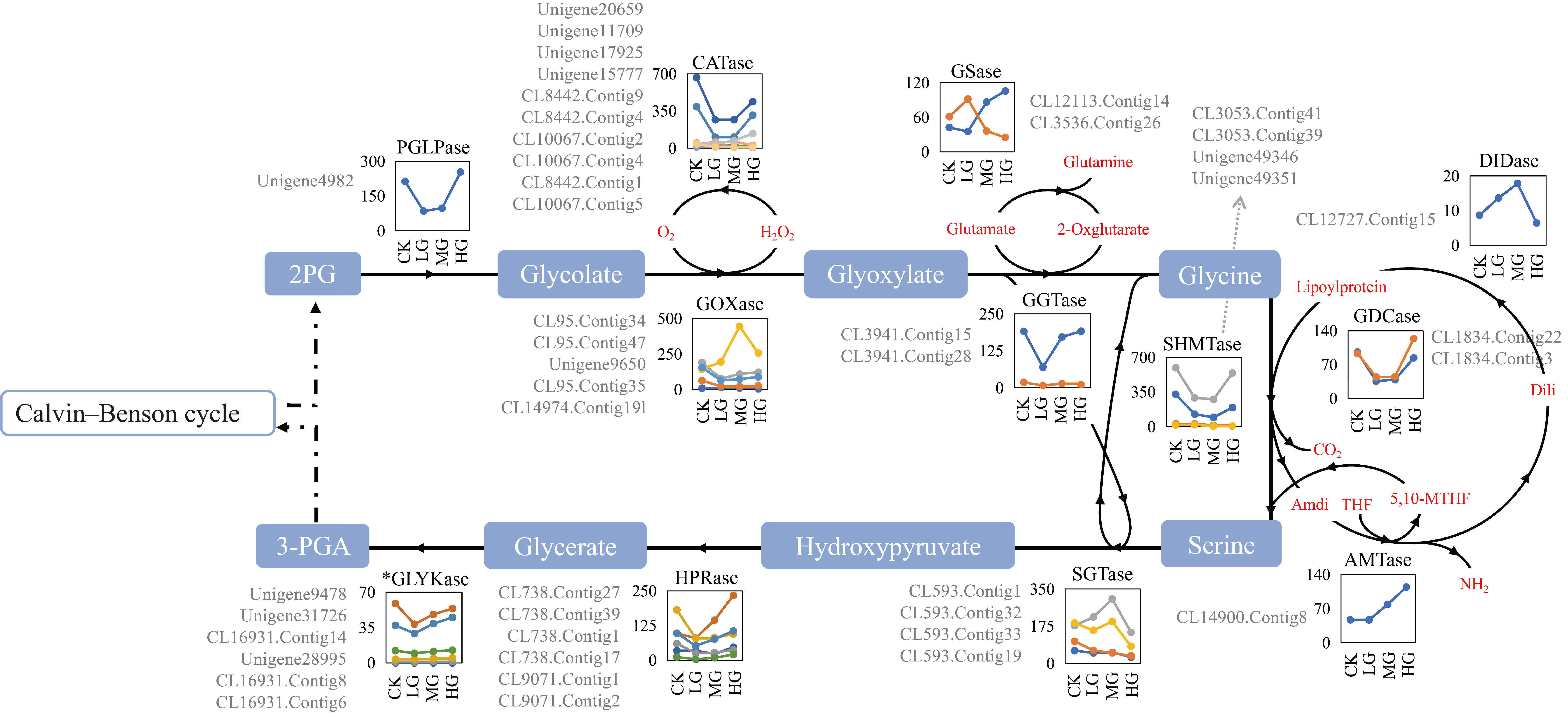 Ijms 22 11980 g003 550