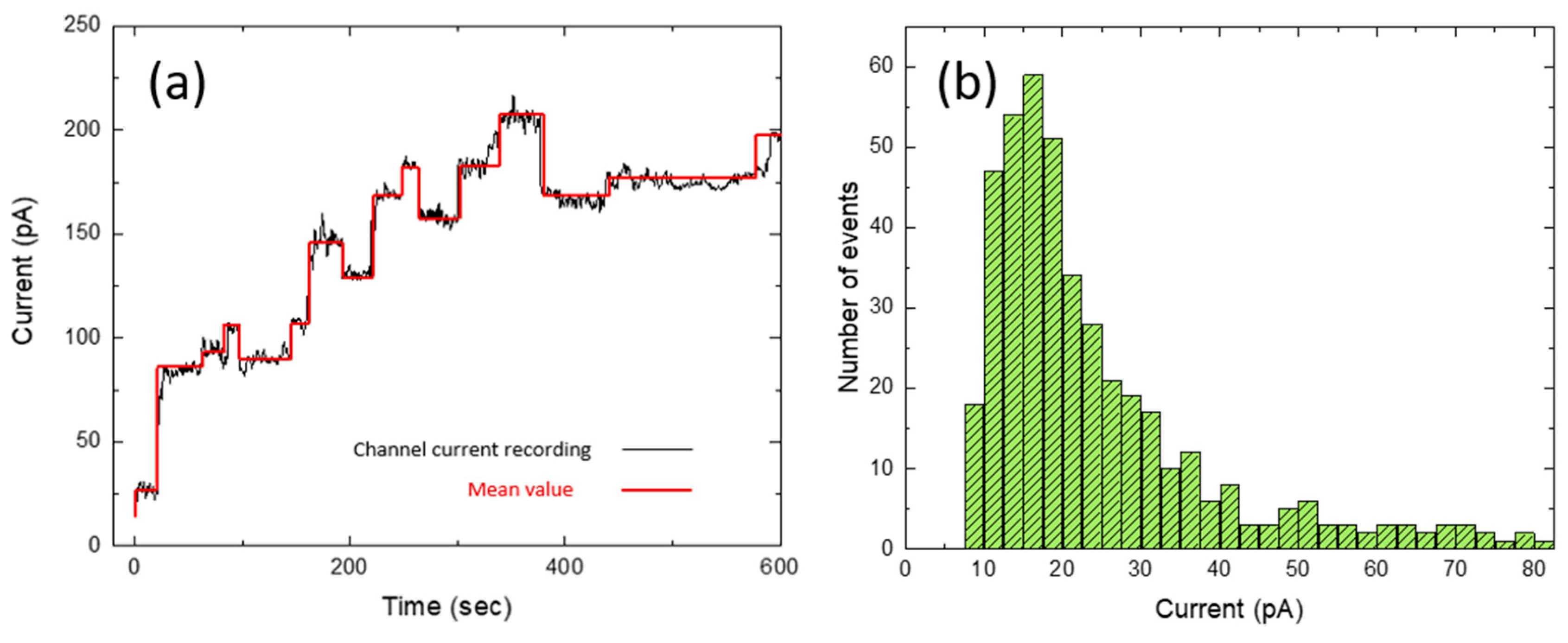 Ijms 22 11981 g003 550