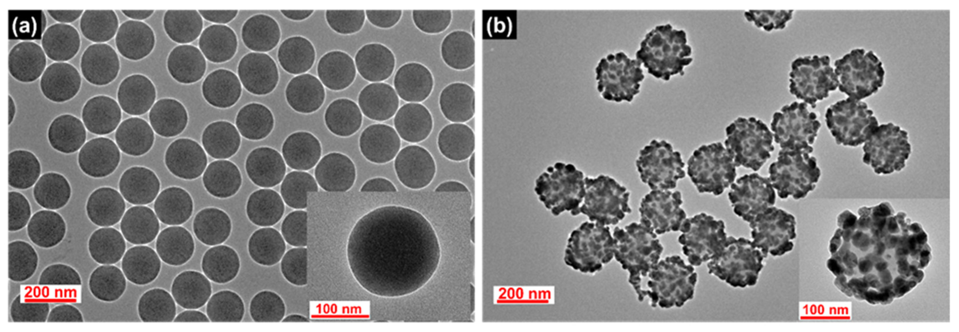 Ijms 22 11983 g001 550