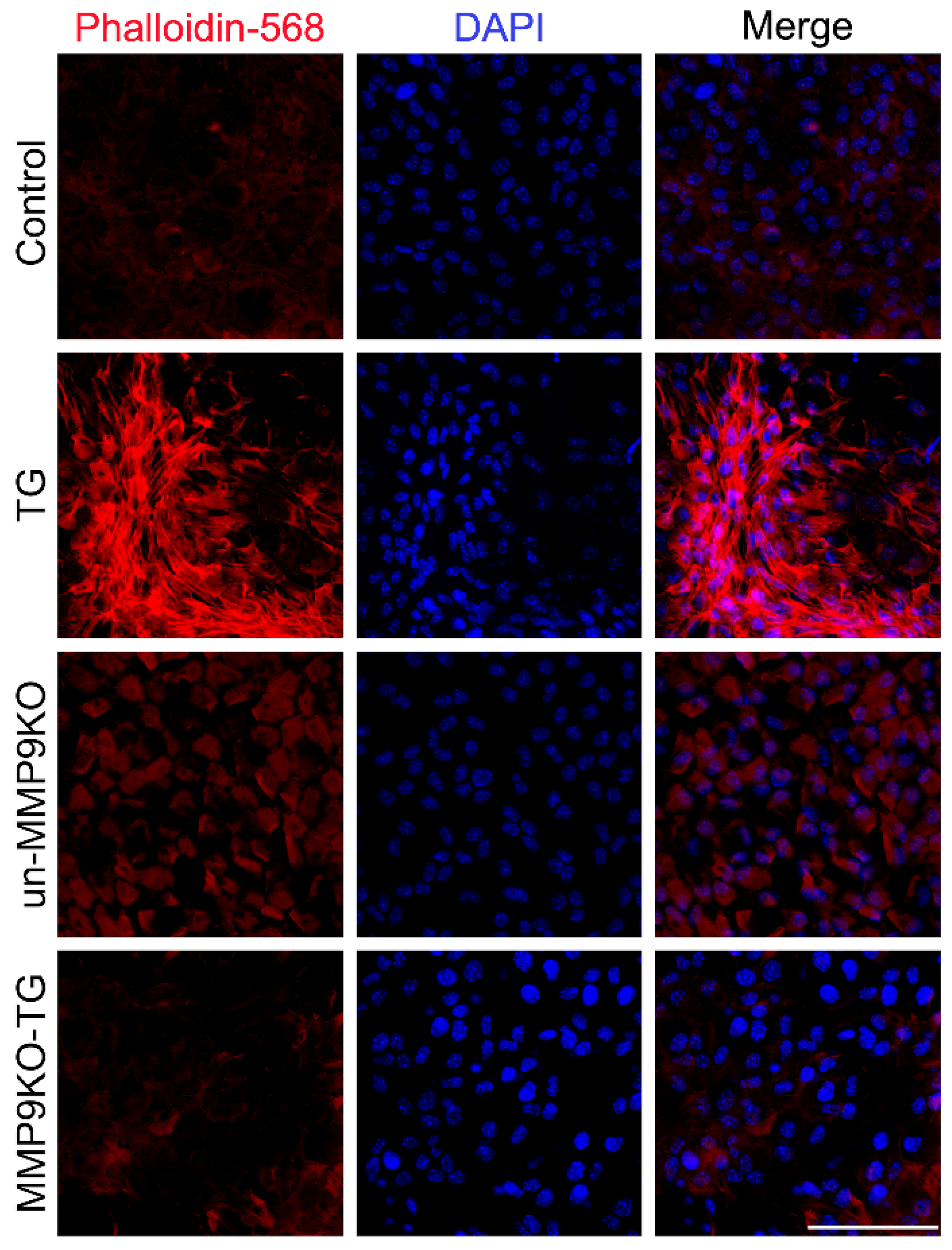 Ijms 22 11988 g001 550