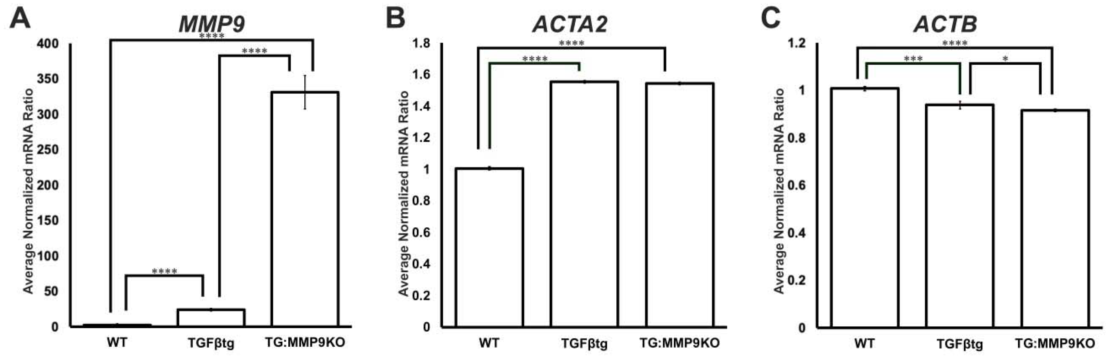 Ijms 22 11988 g002 550