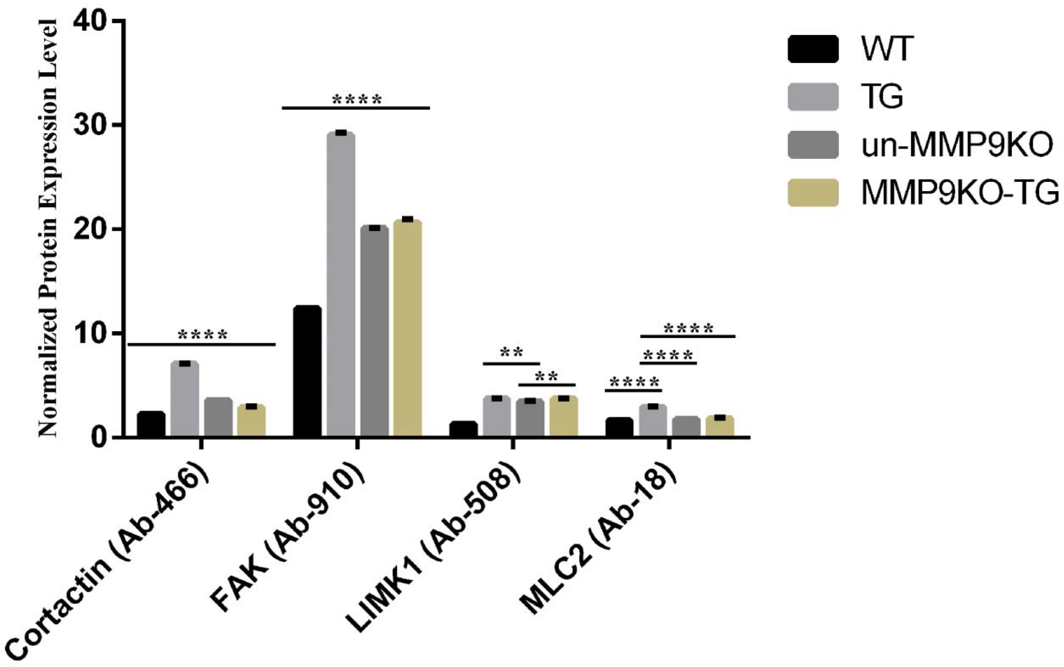 Ijms 22 11988 g003 550