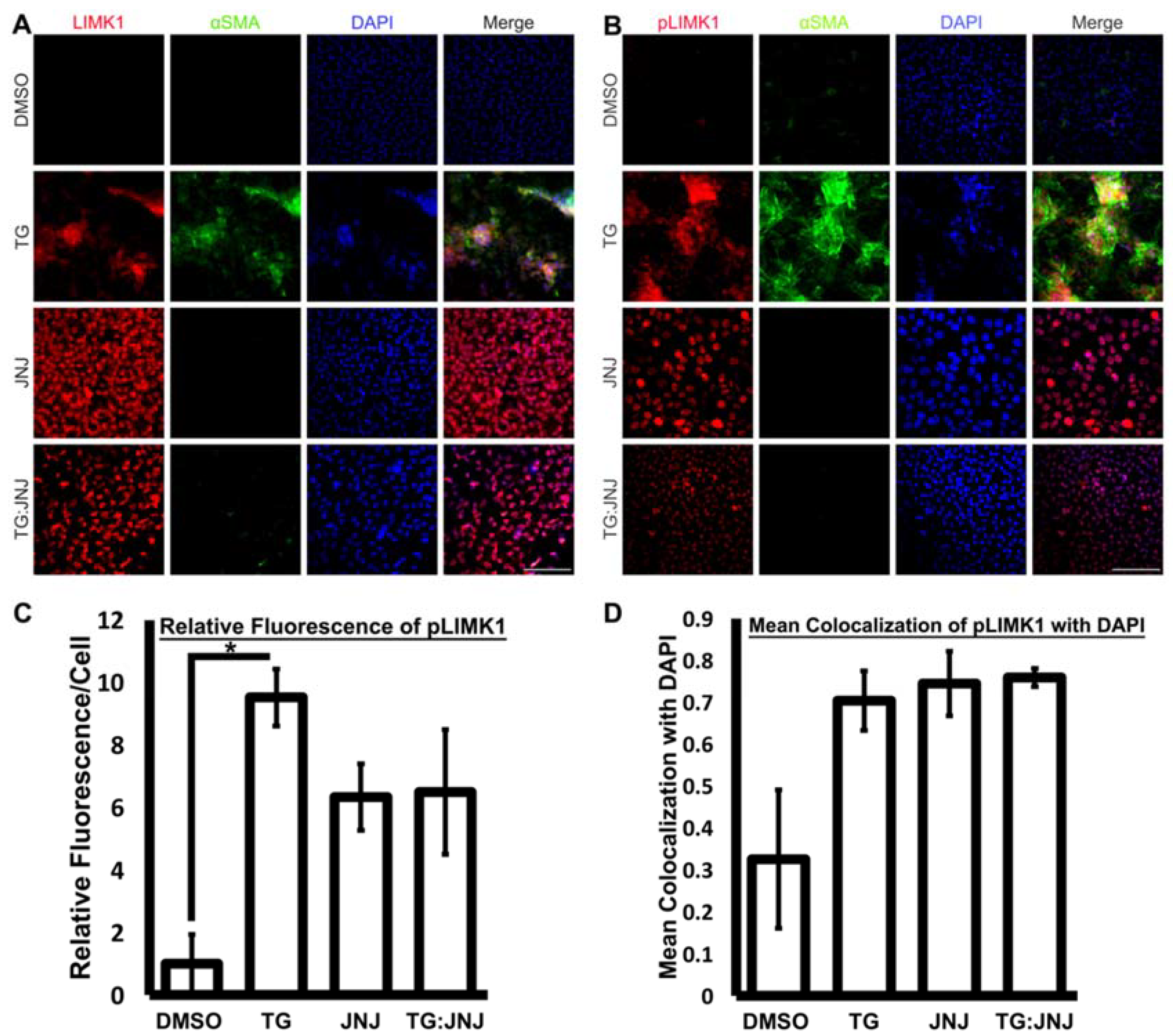 Ijms 22 11988 g007 550