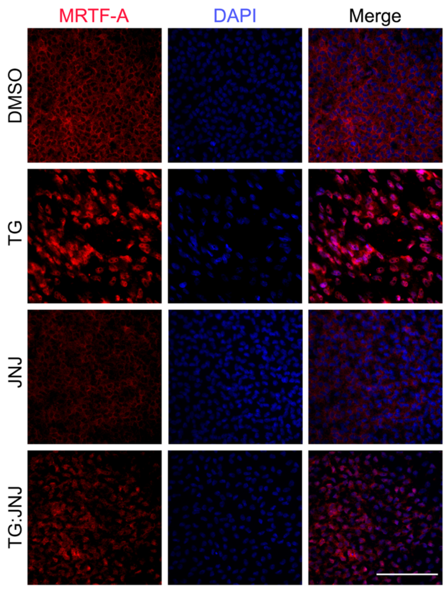 Ijms 22 11988 g009 550