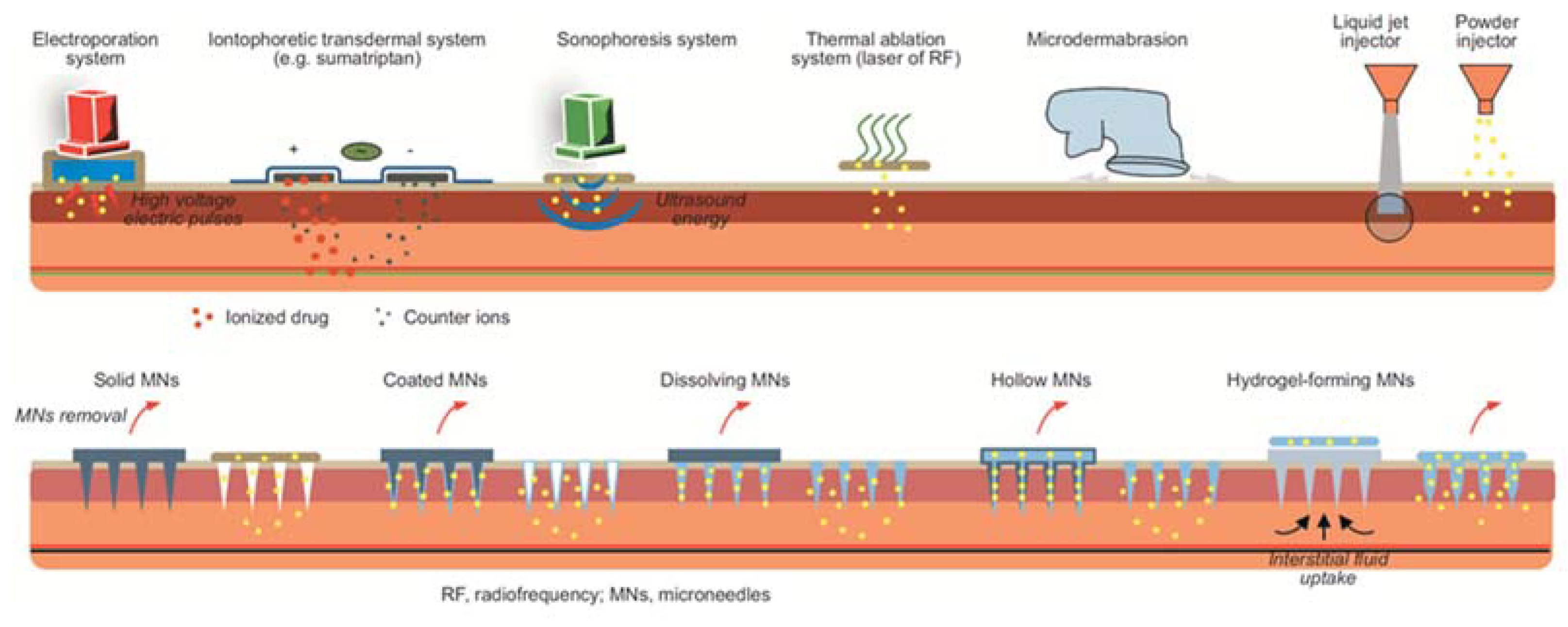 Ijms 22 11991 g003 550