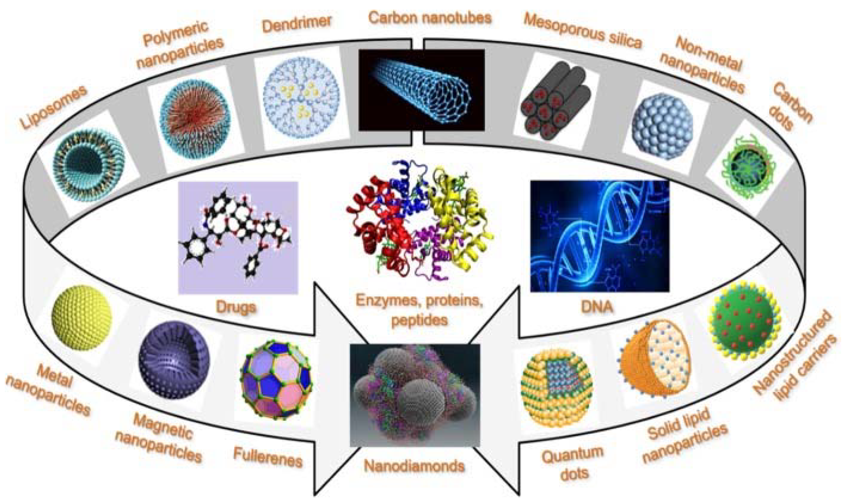 Ijms 22 11991 g006 550