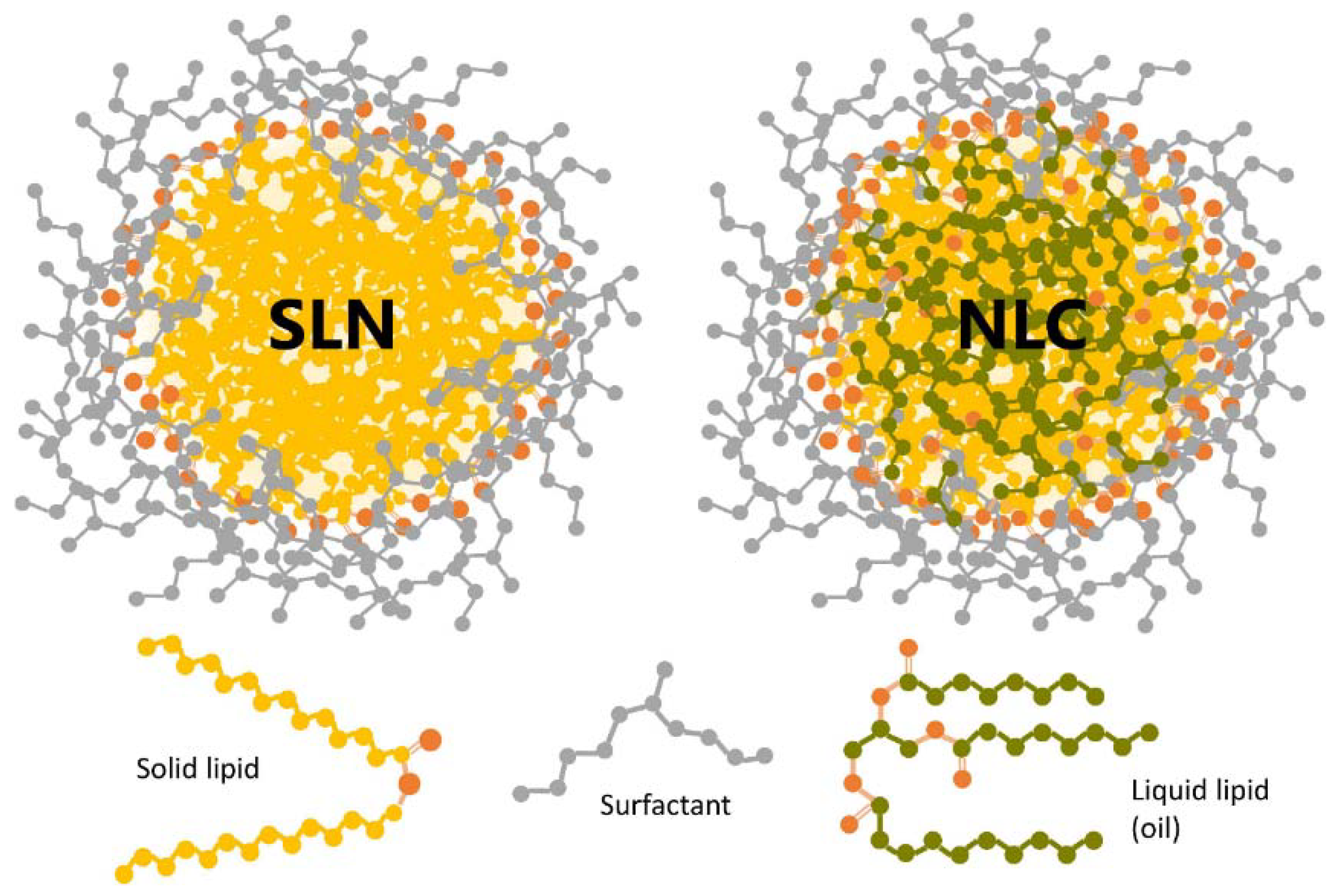 Ijms 22 11991 g007 550