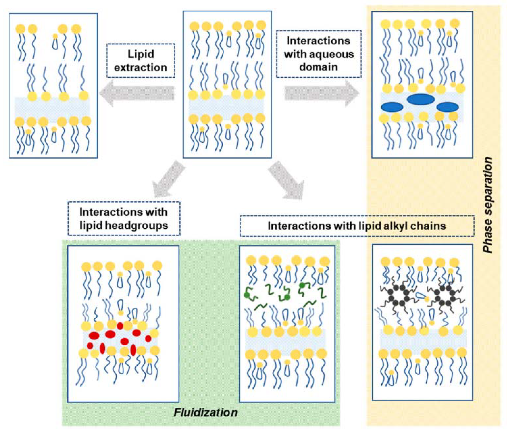 Ijms 22 11991 g008 550