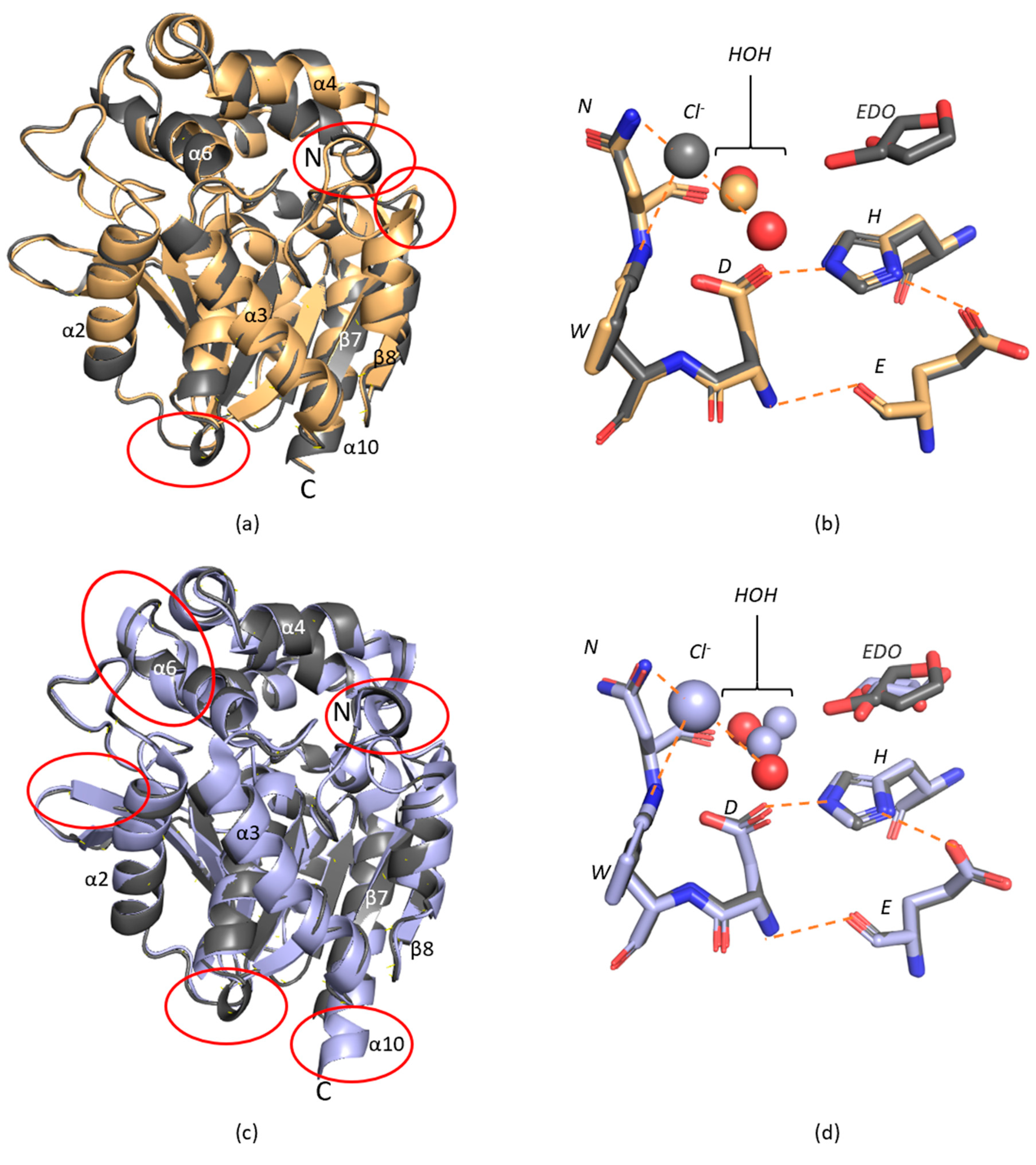 Ijms 22 11992 g002 550