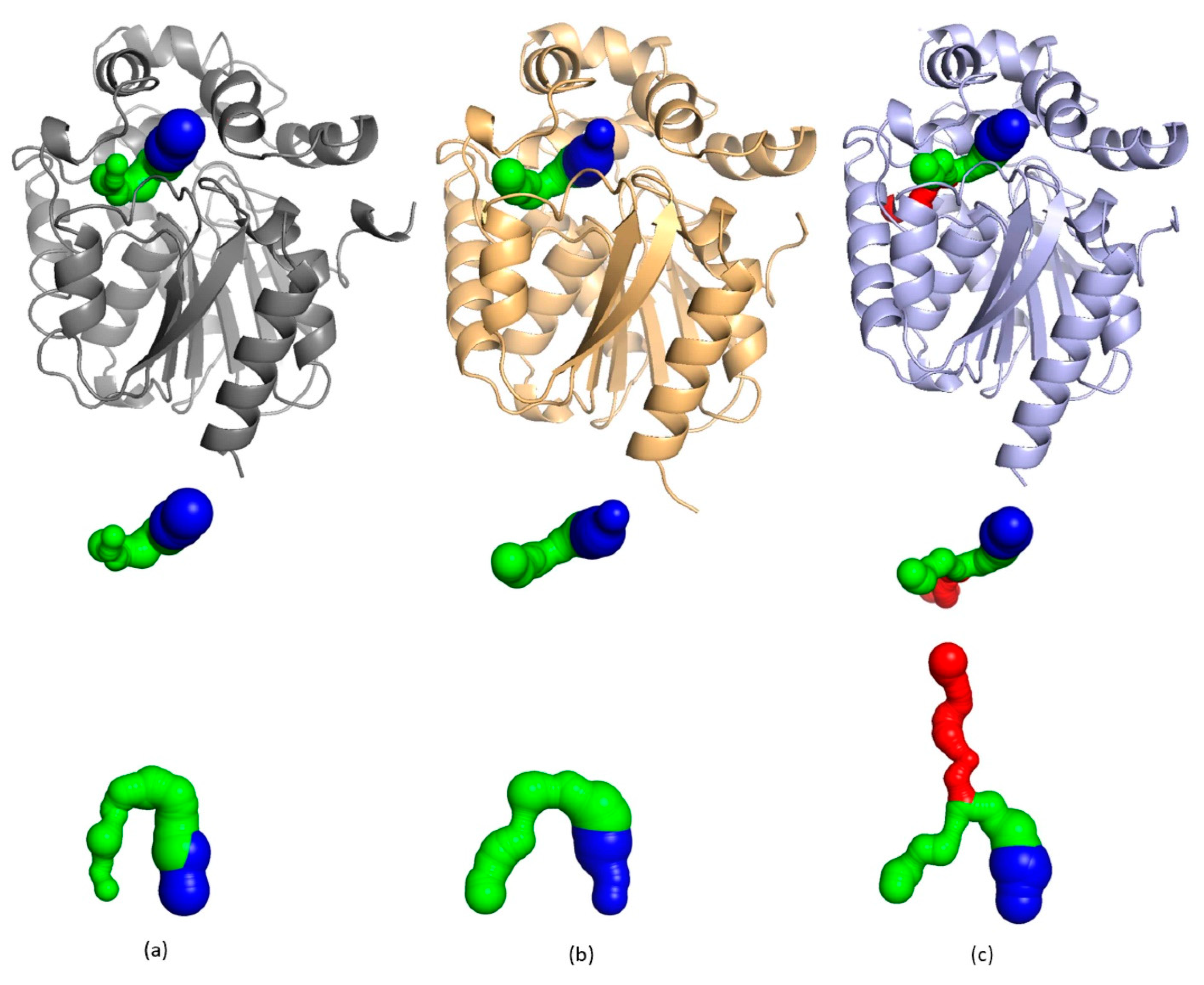 Ijms 22 11992 g004 550