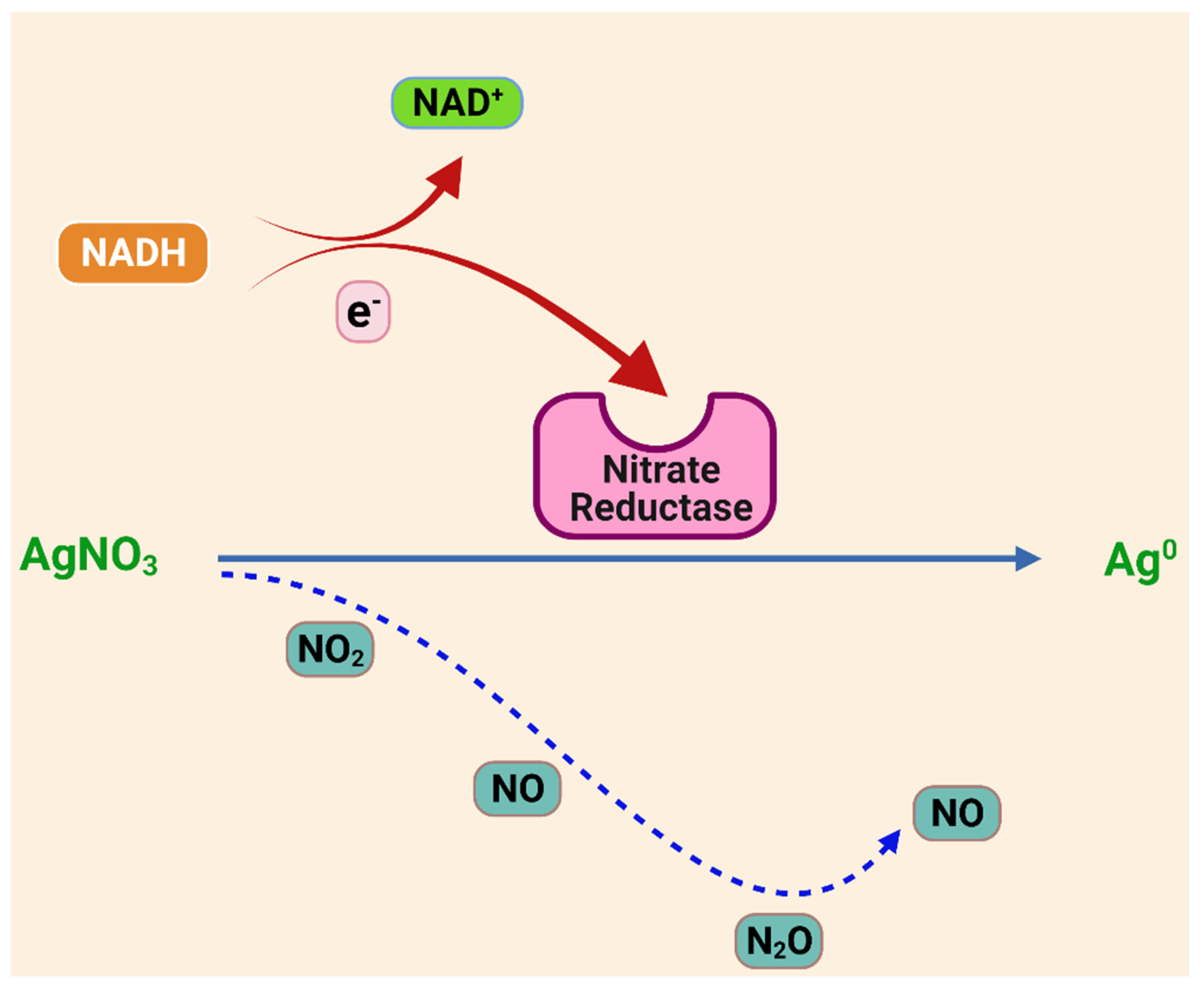 Ijms 22 11993 g005 550