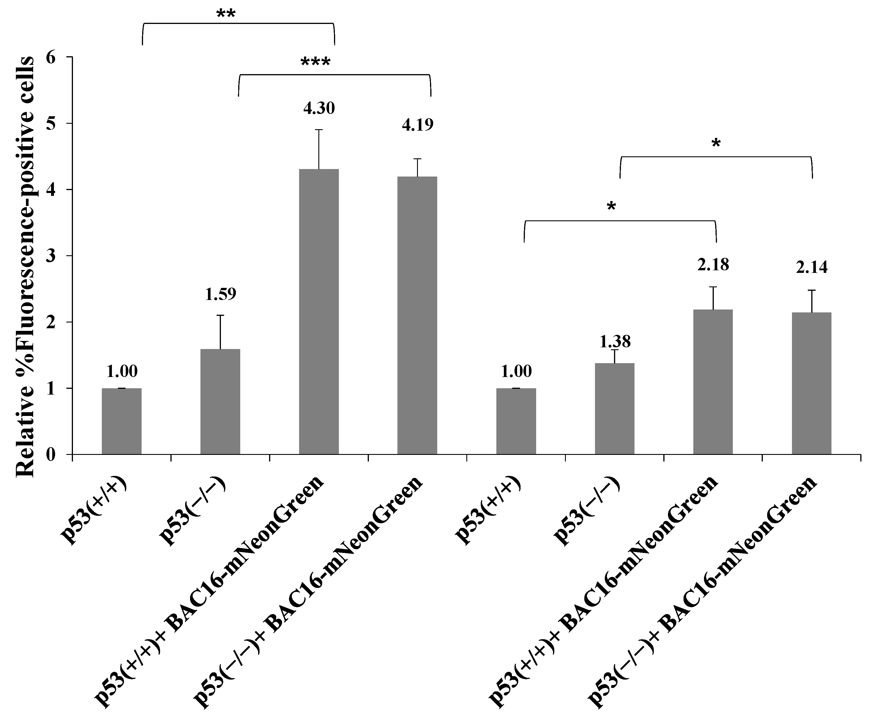 Ijms 22 11994 g013 Ijms 22 11994 g013