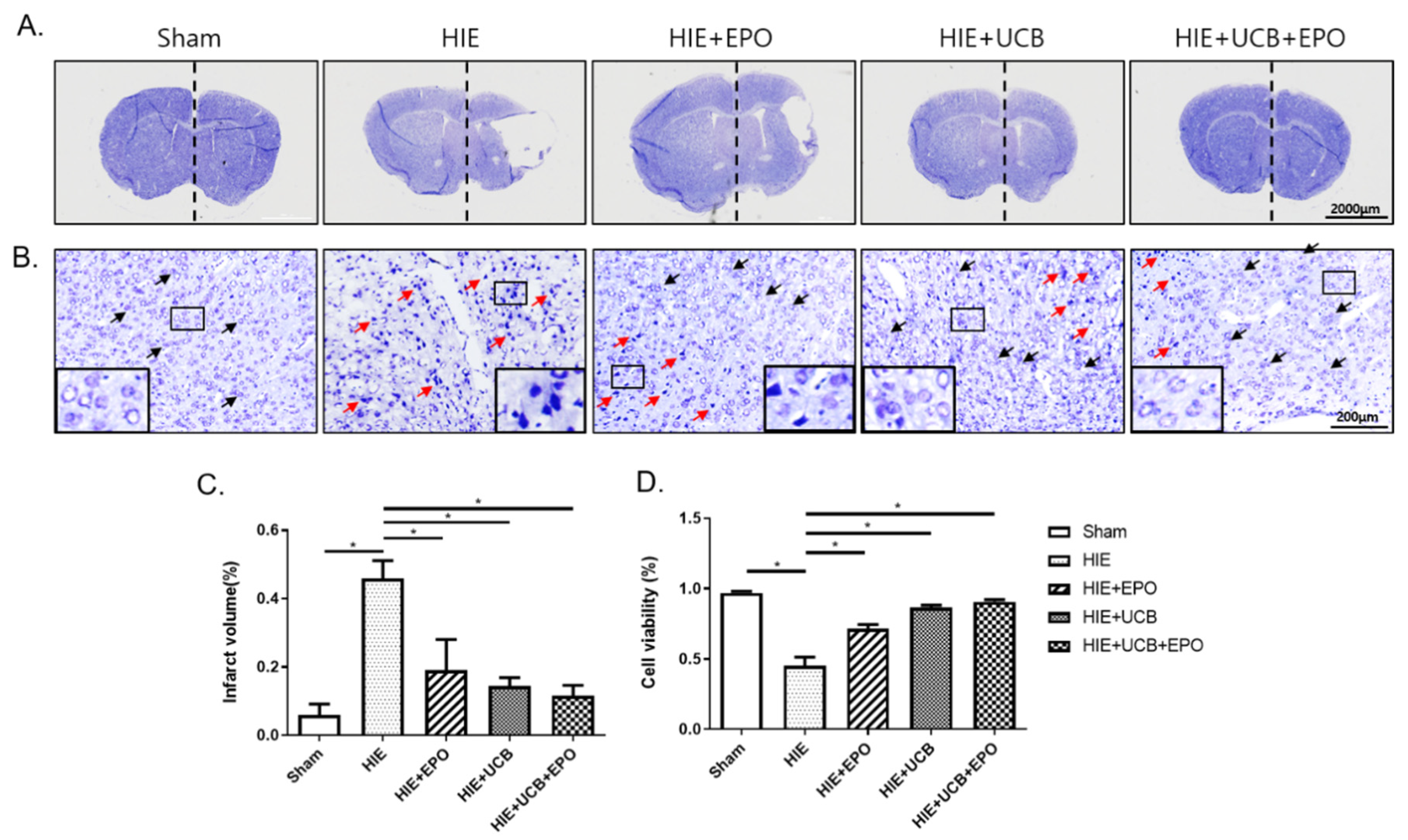 Ijms 22 11995 g002 Ijms 22 11995 g002