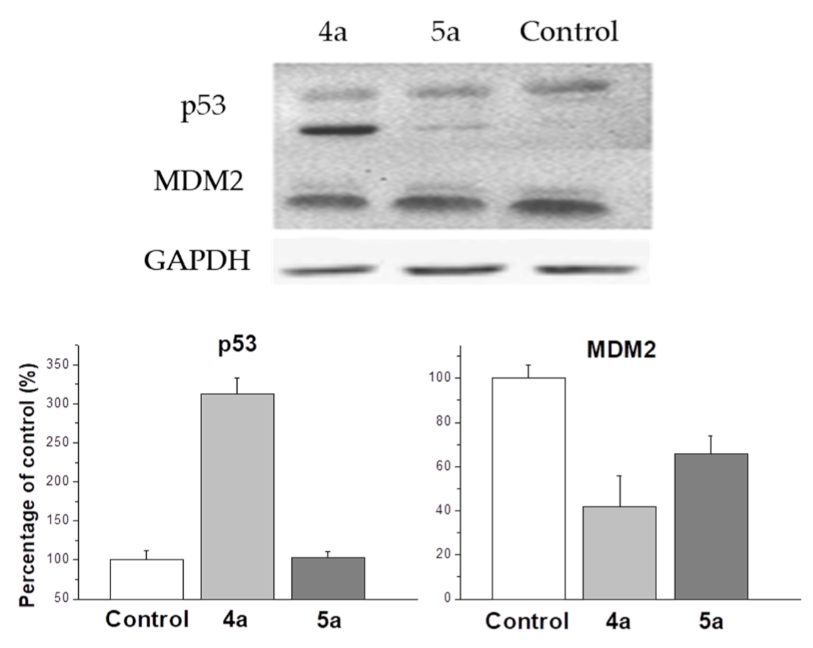 Ijms 22 11997 g006 550
