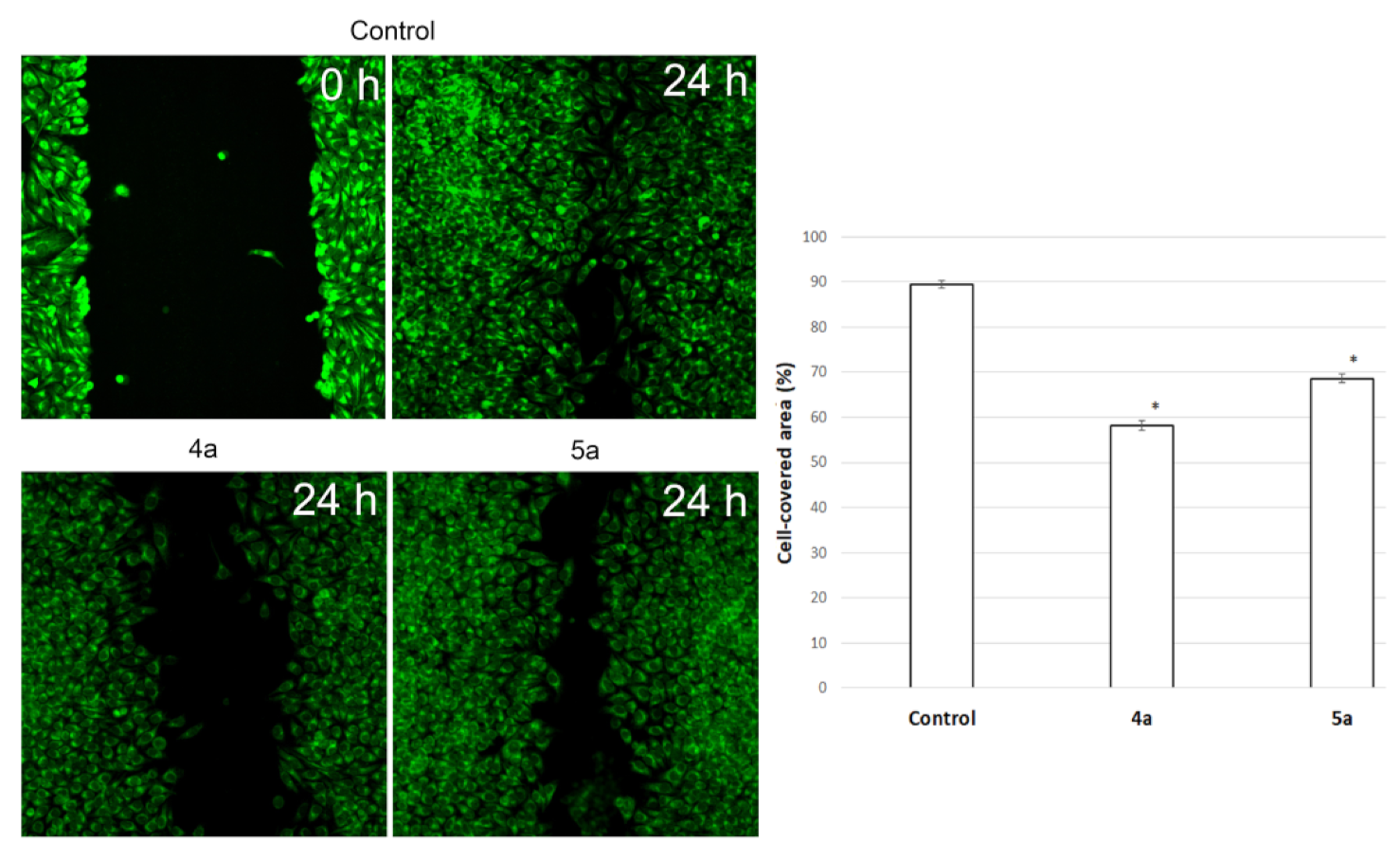 Ijms 22 11997 g007 550