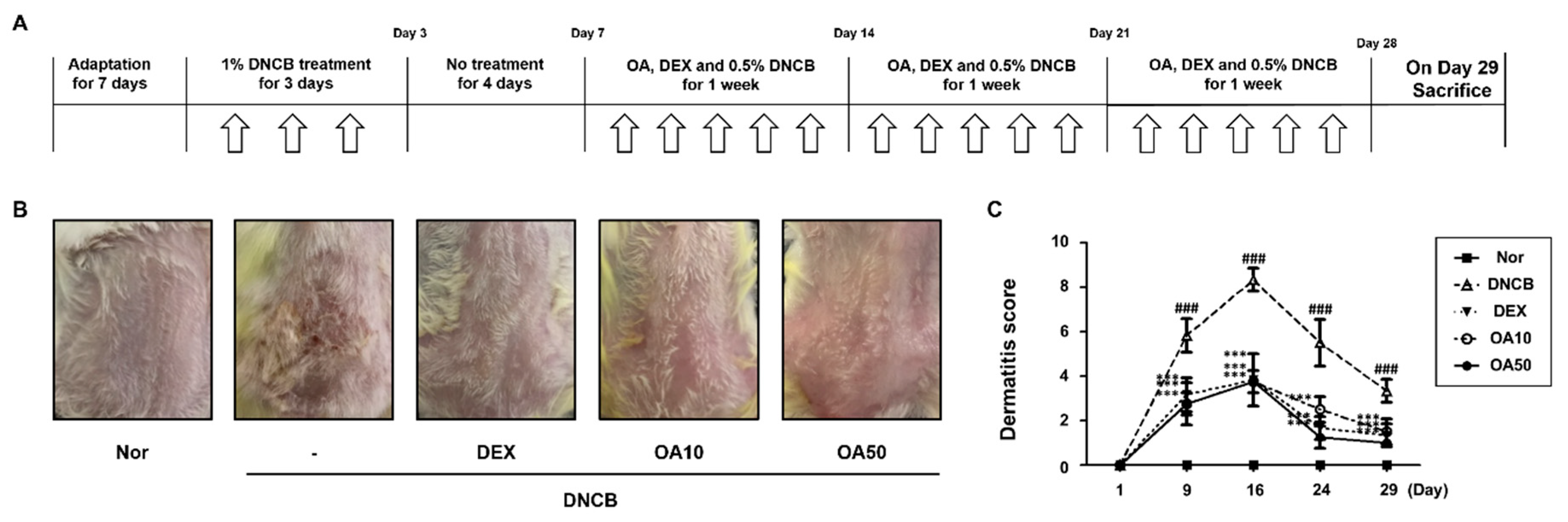Ijms 22 12000 g001 550