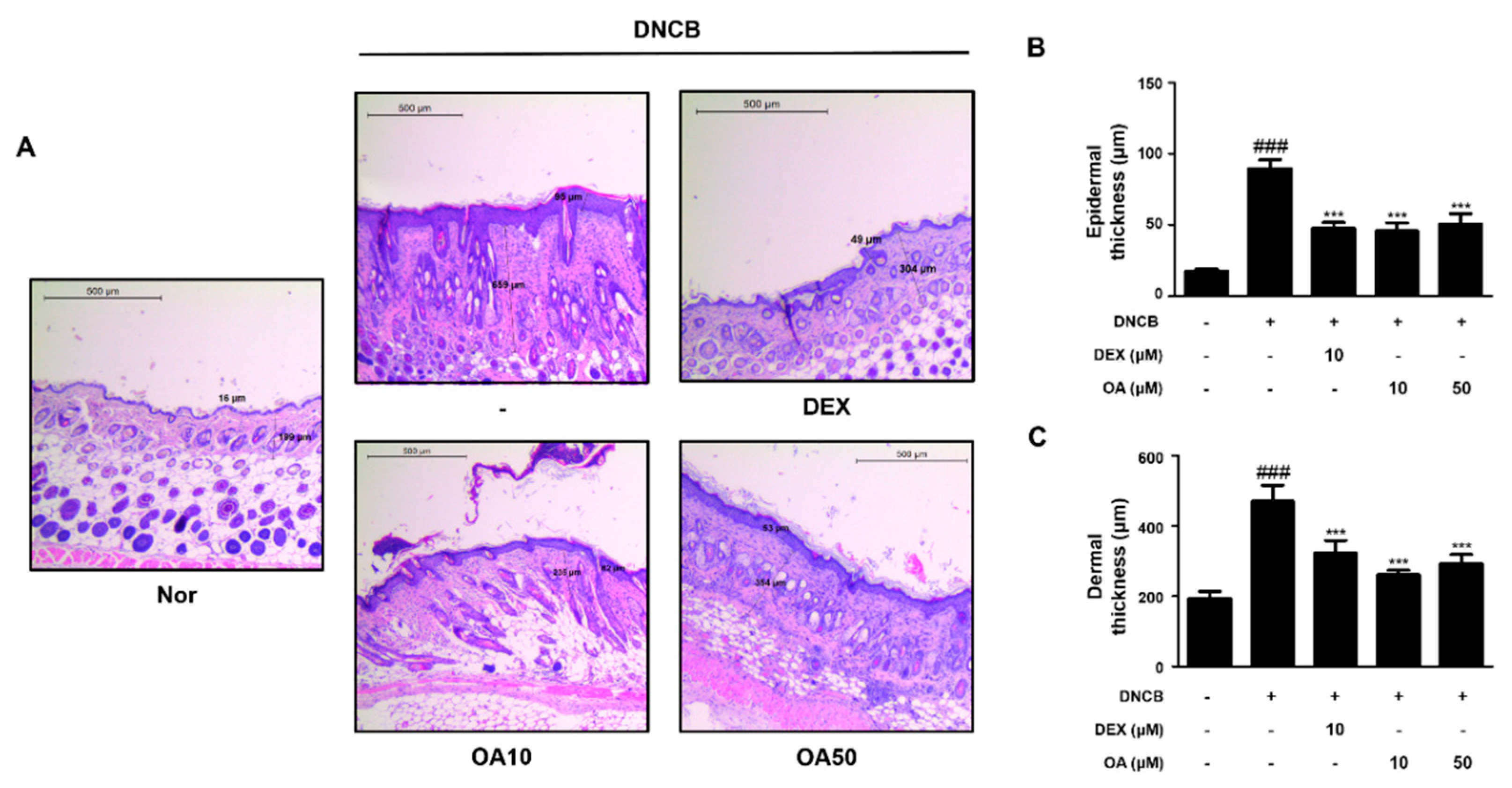 Ijms 22 12000 g002 550