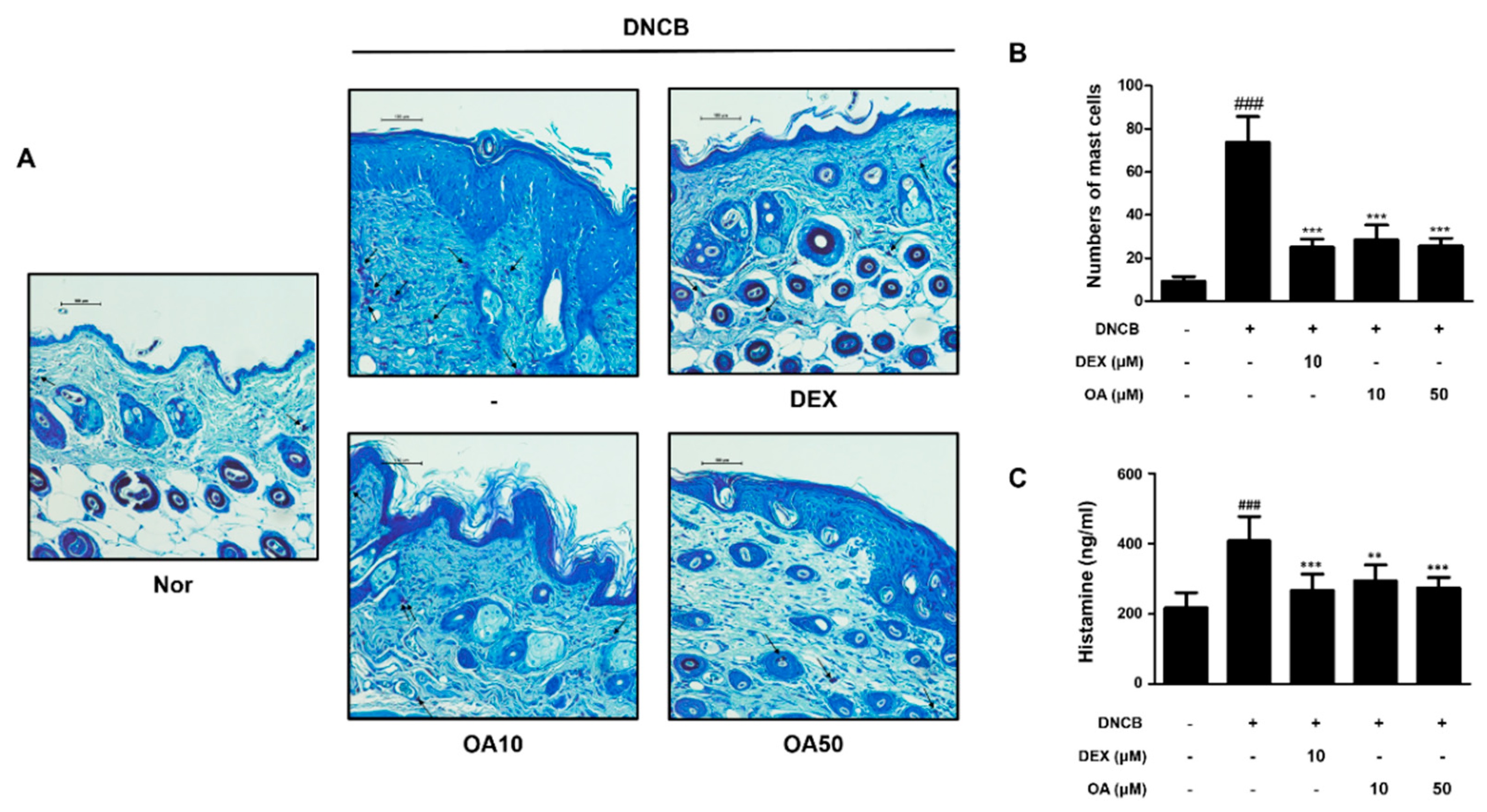 Ijms 22 12000 g003 550