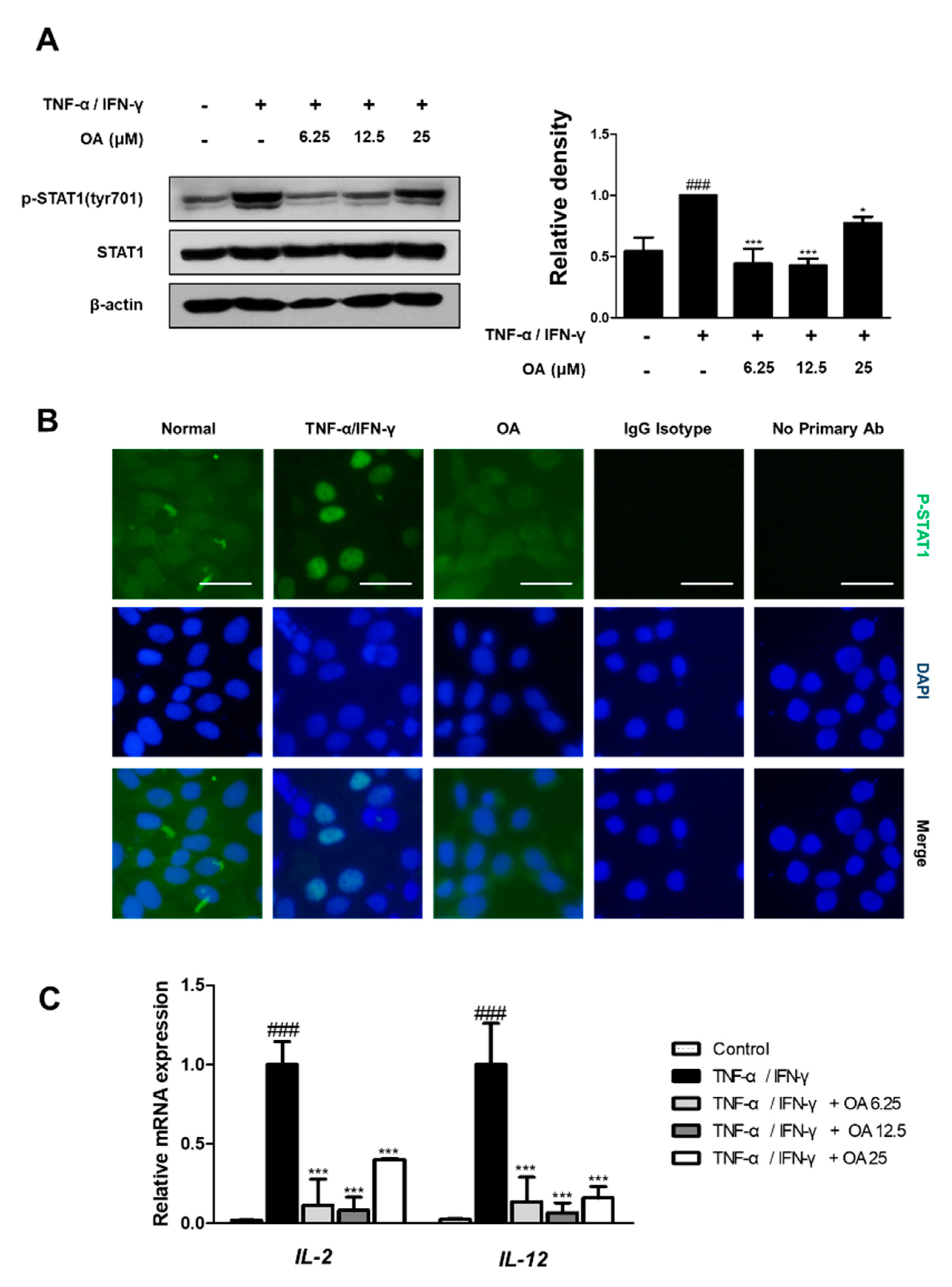 Ijms 22 12000 g006 550