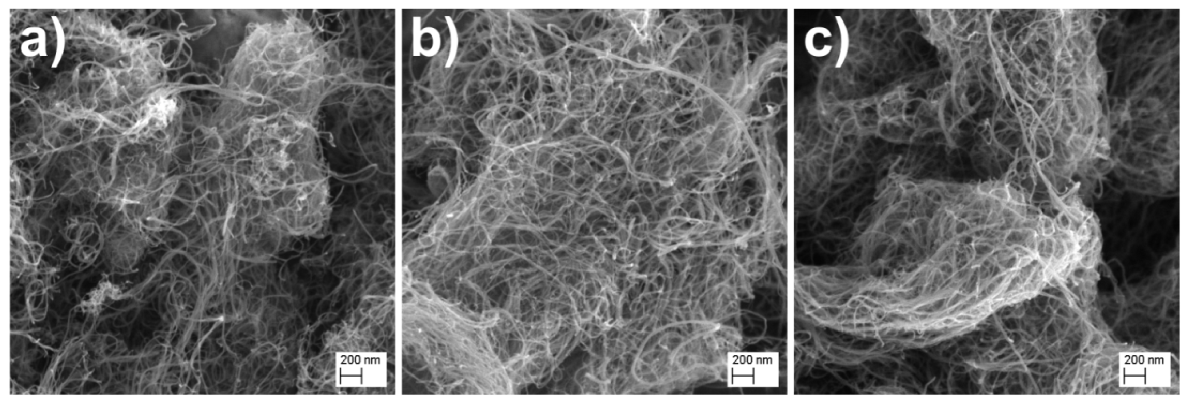 Ijms 22 12003 g003 550