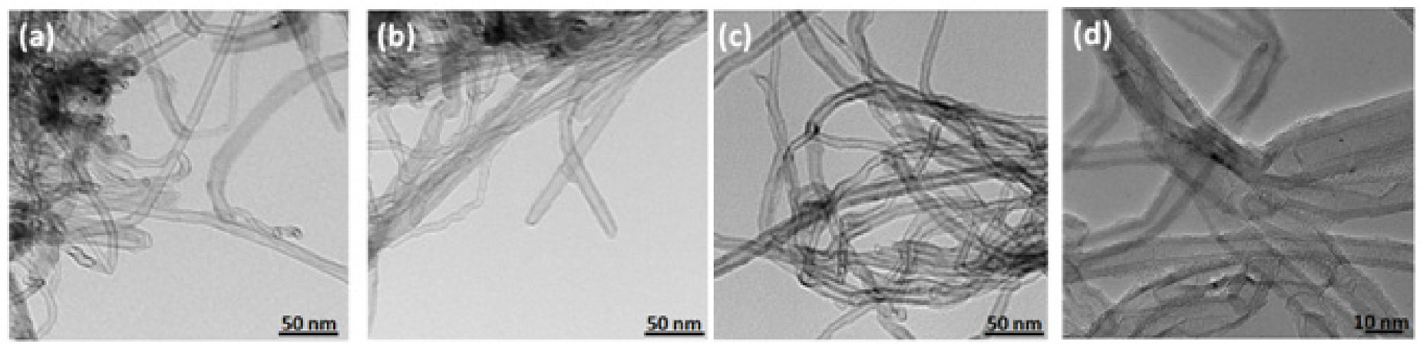 Ijms 22 12003 g005 550