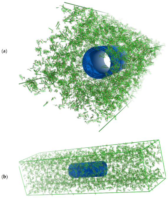 Ijms 22 12003 g008 550