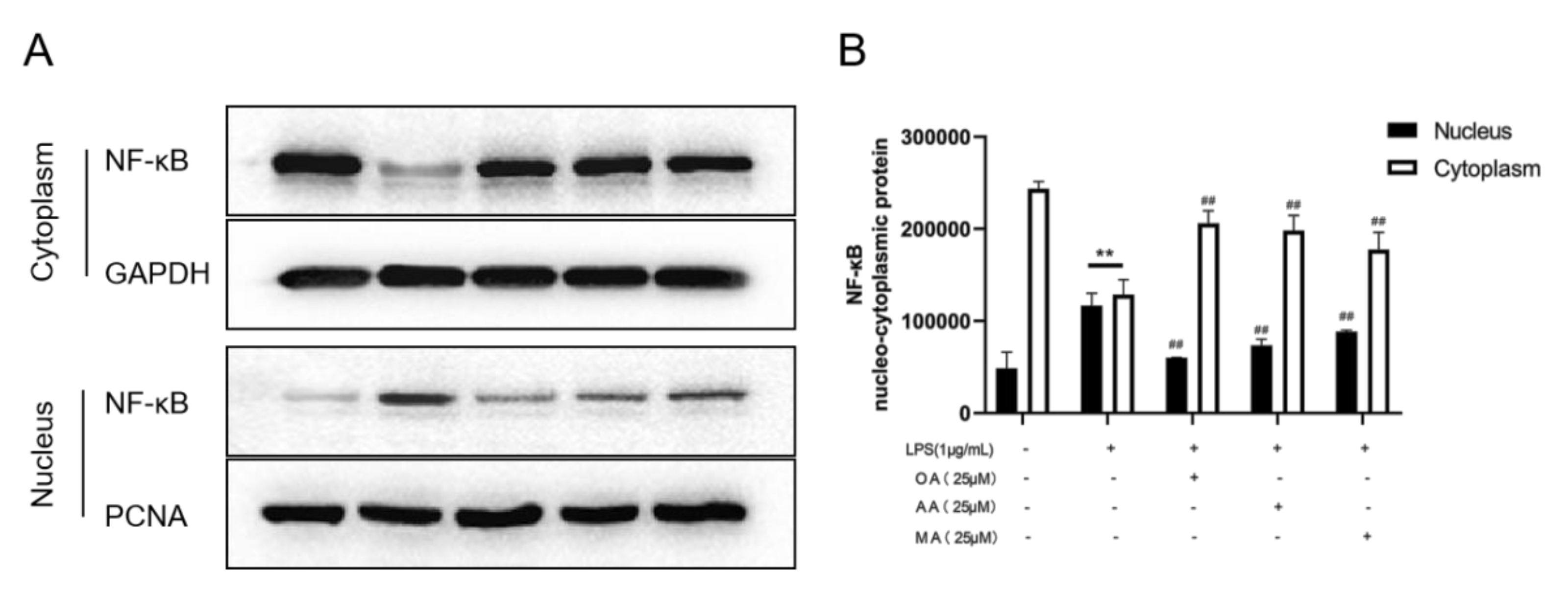 Ijms 22 12009 g007 550