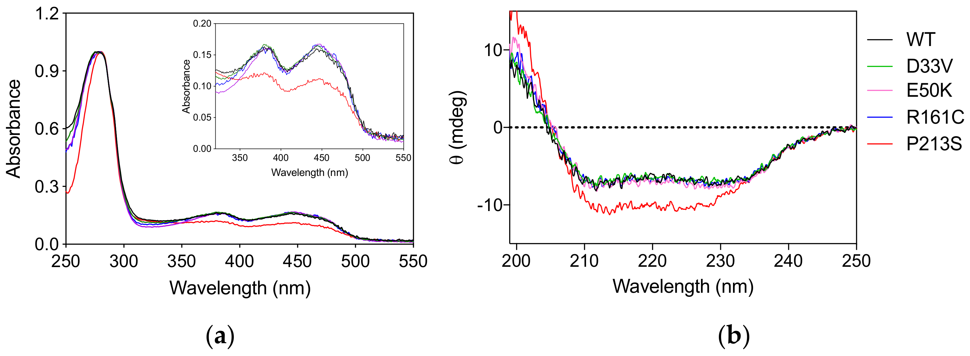 Ijms 22 12013 g001 550