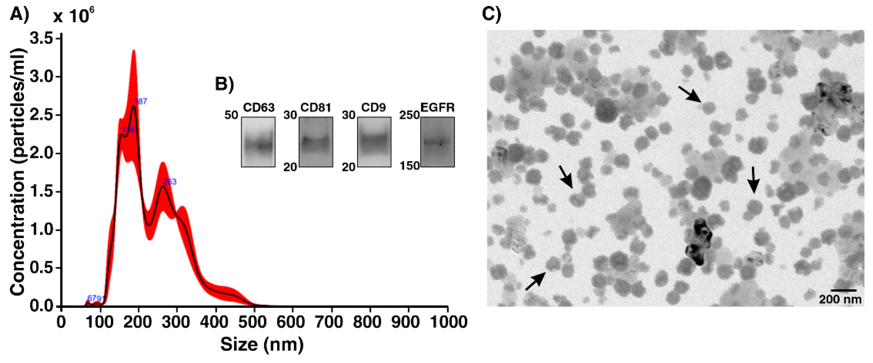 Ijms 22 12014 g003 550