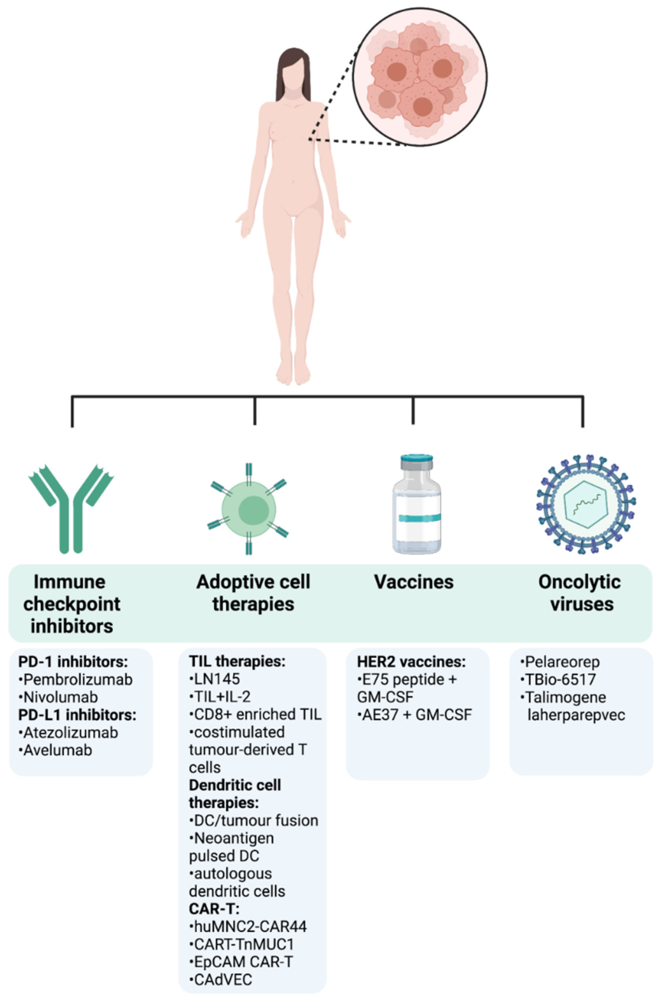 Ijms 22 12015 g004 550