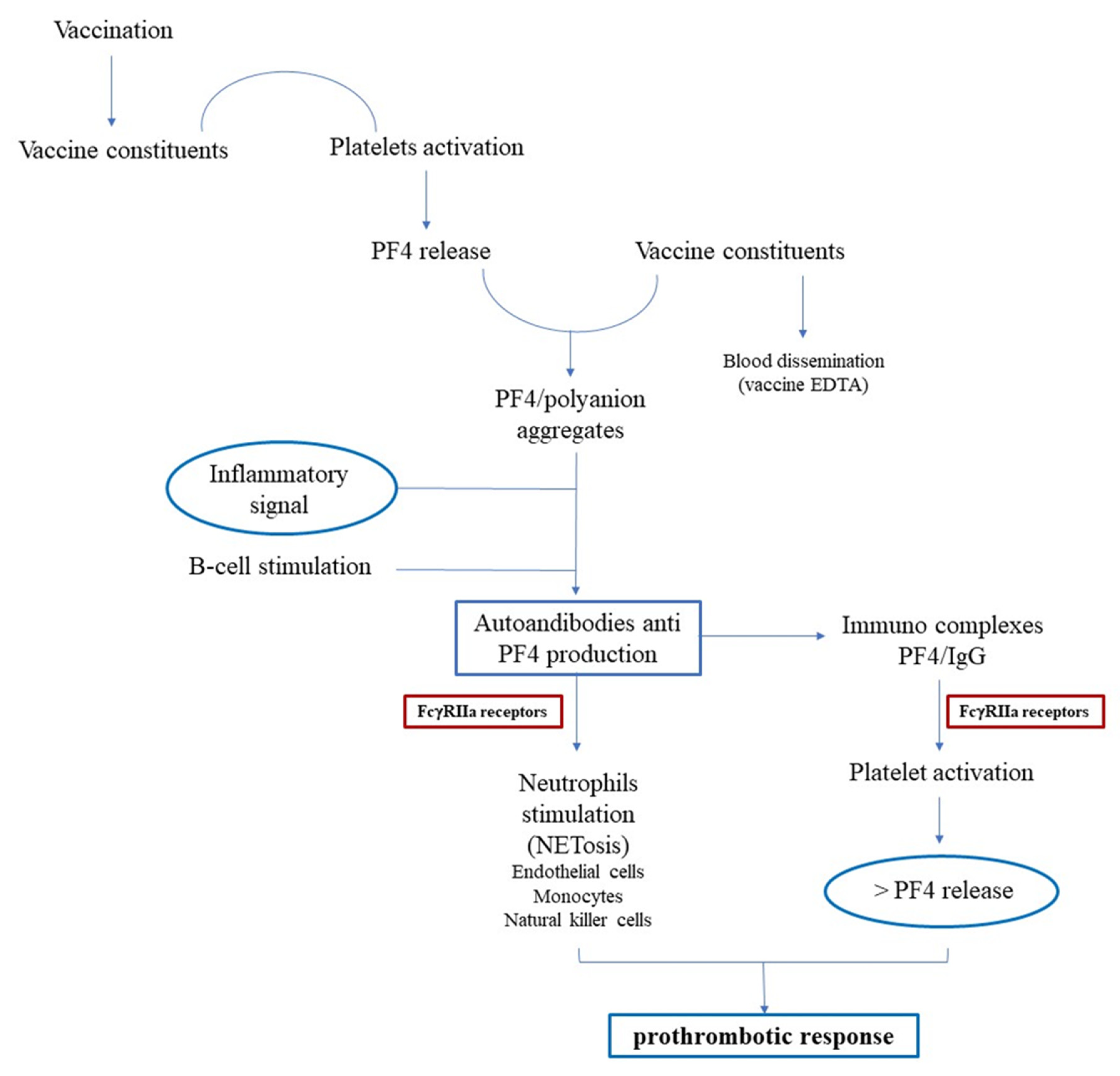 Ijms 22 12024 g002 550