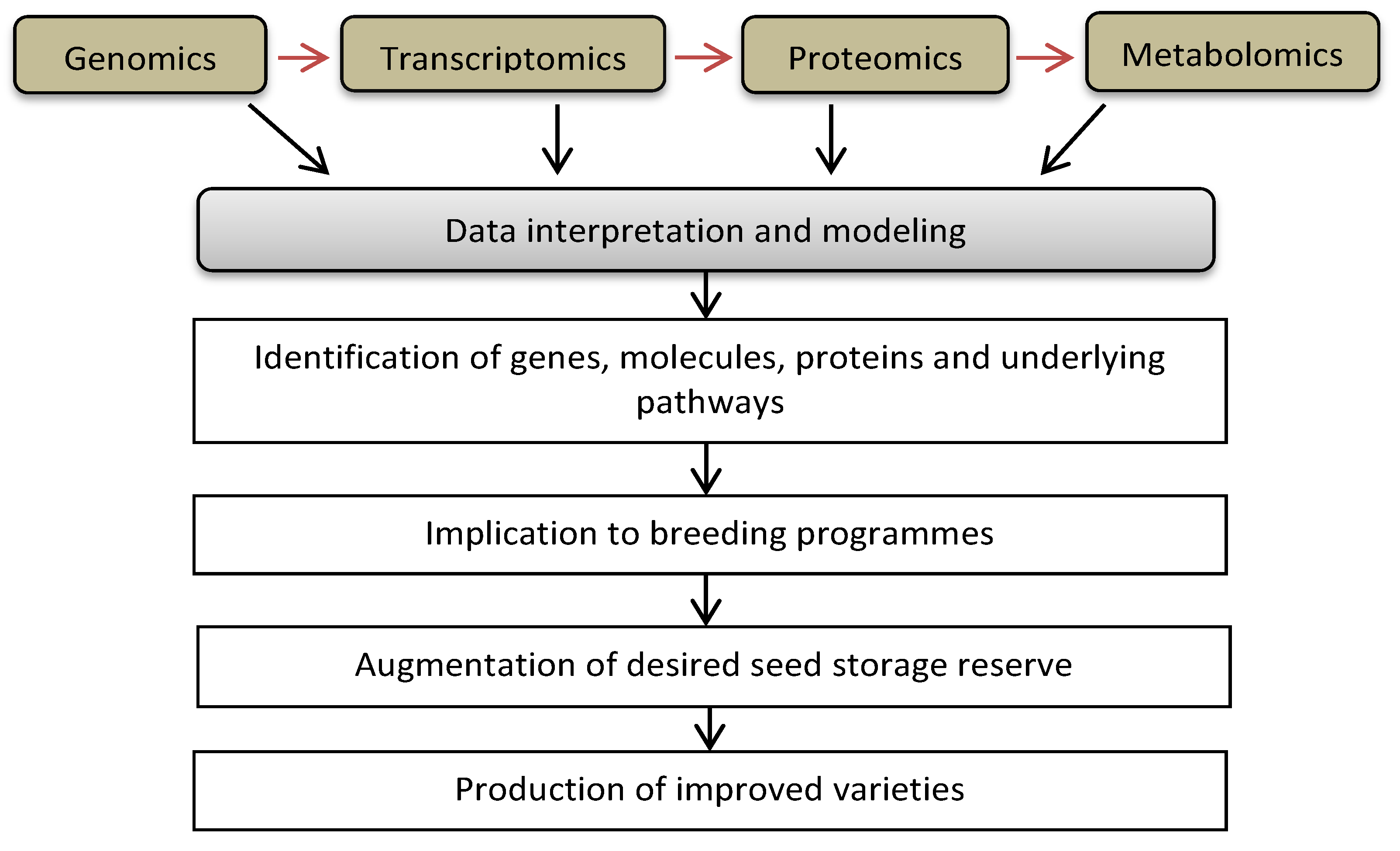 Ijms 22 12032 g004 Ijms 22 12032 g004