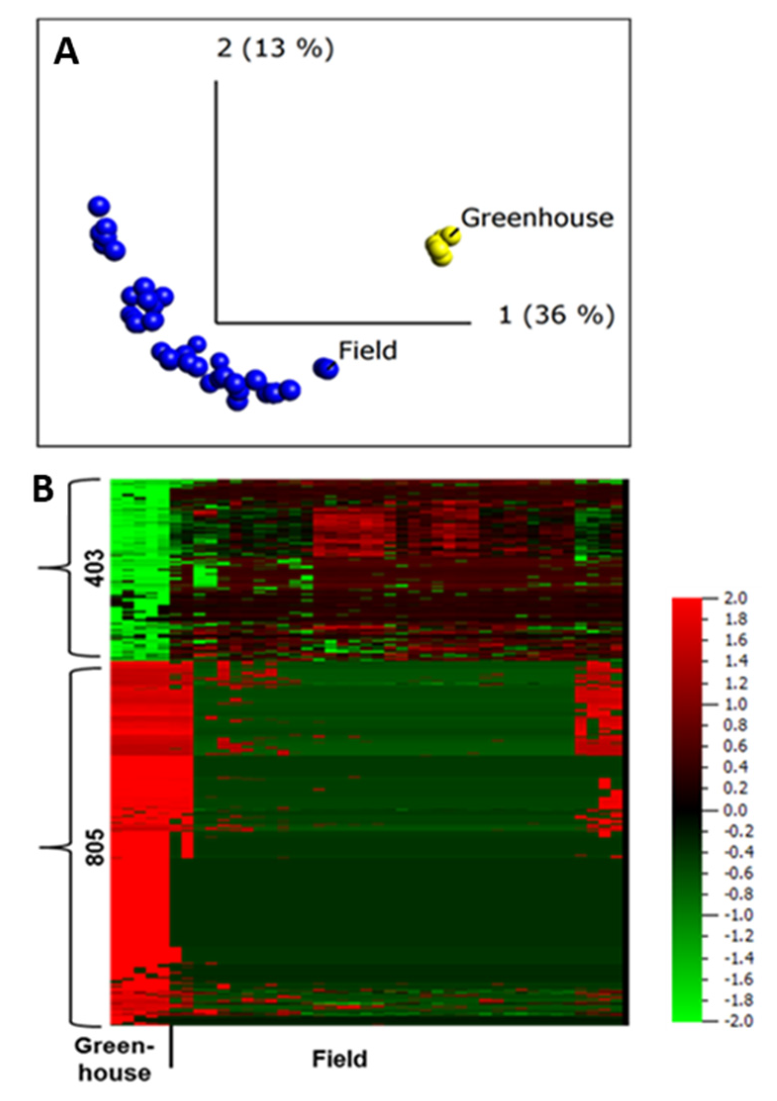 Ijms 22 12033 g004 550