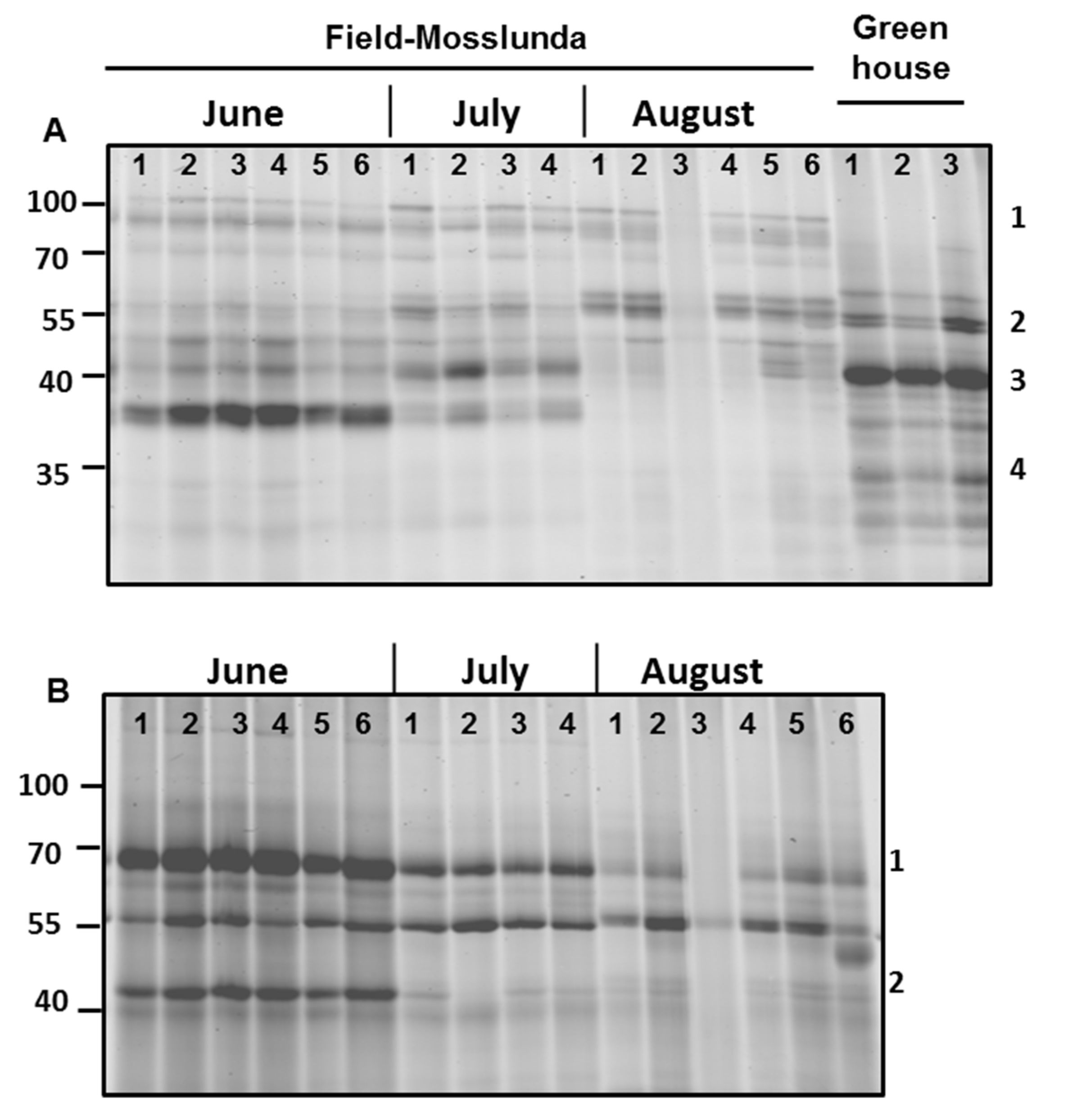 Ijms 22 12033 g005 550