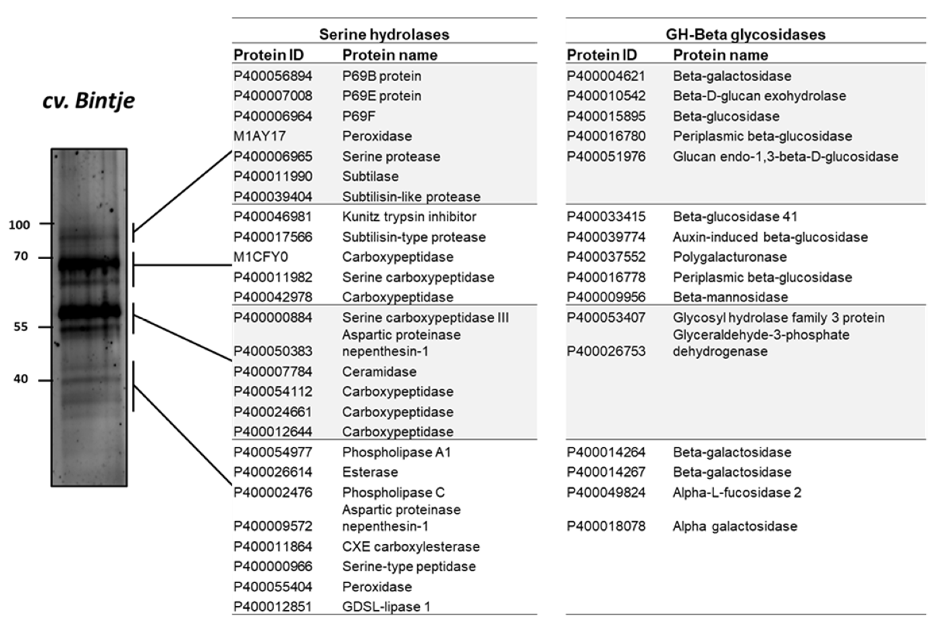 Ijms 22 12033 g006 550
