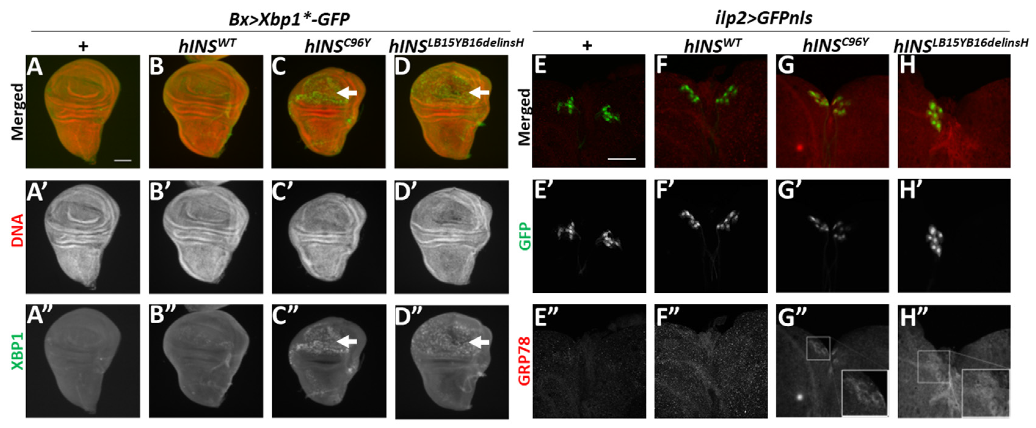 Ijms 22 12038 g001 550