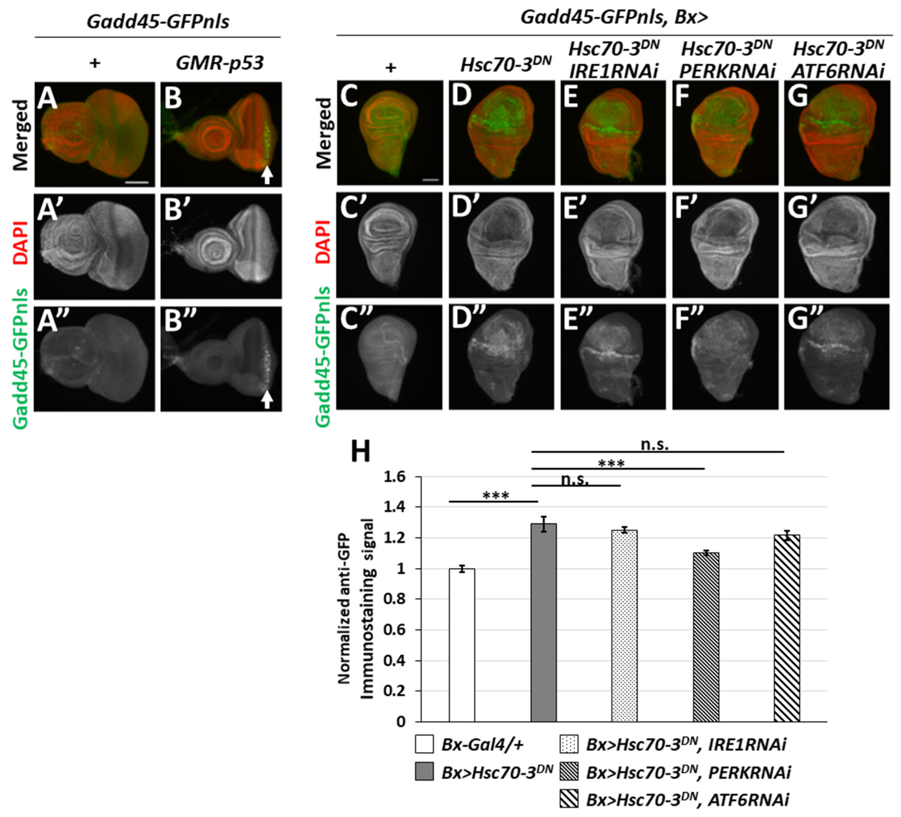 Ijms 22 12038 g002 550