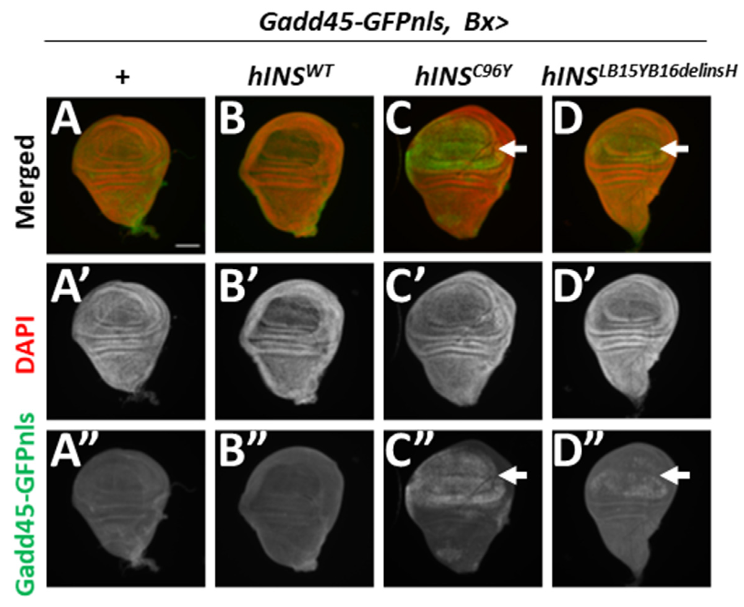 Ijms 22 12038 g003 550