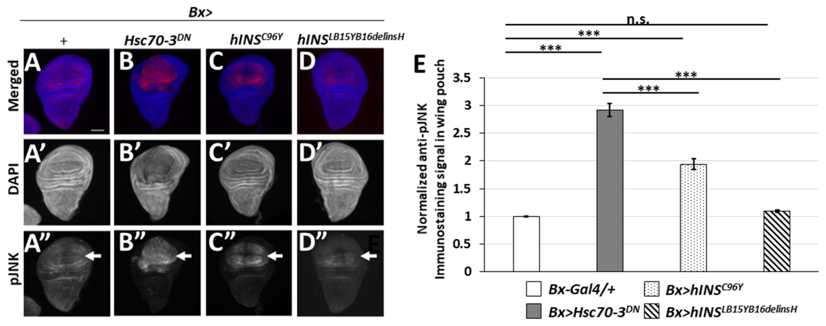 Ijms 22 12038 g006 550