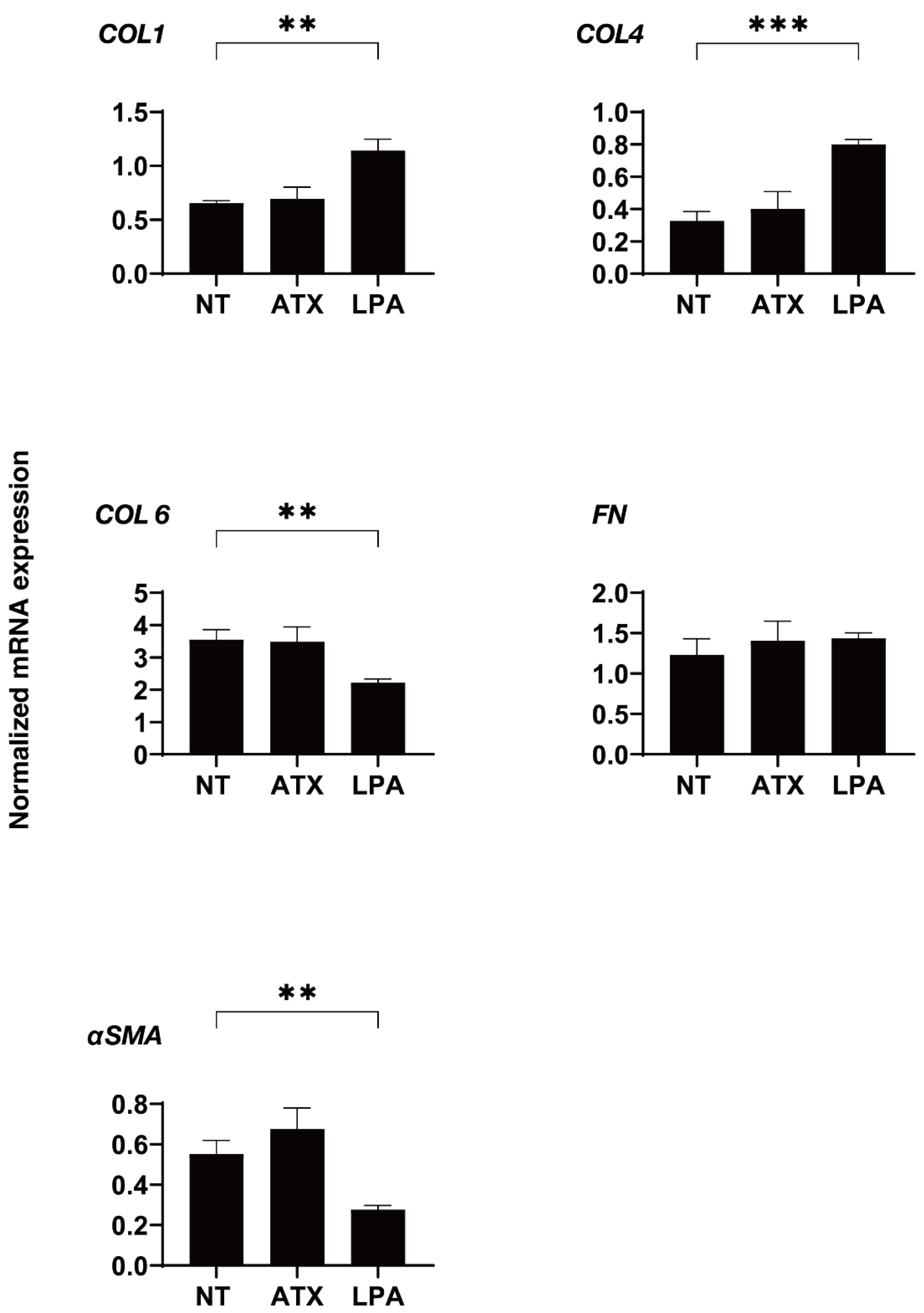 Ijms 22 12039 g004 550