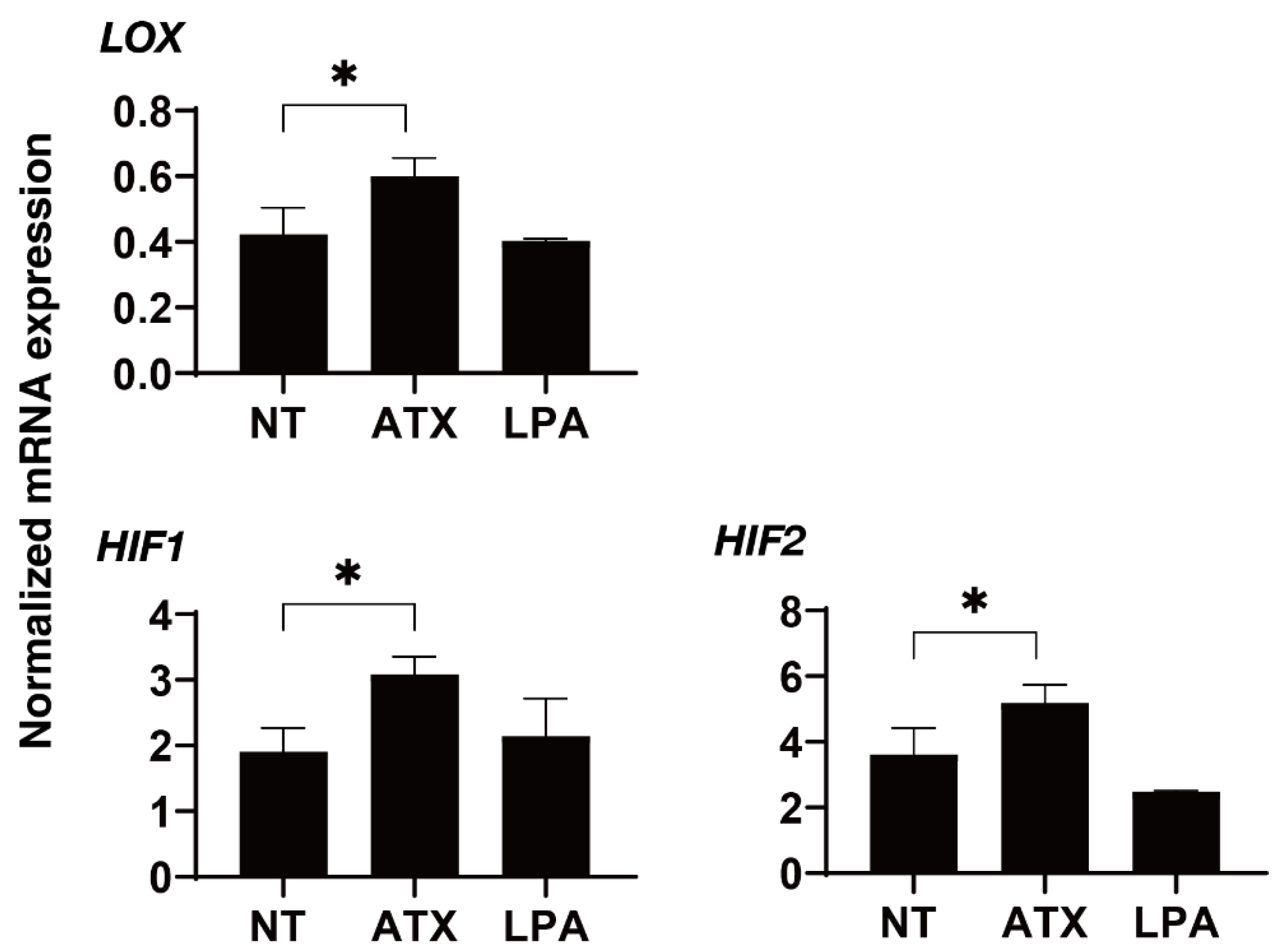 Ijms 22 12039 g006 550