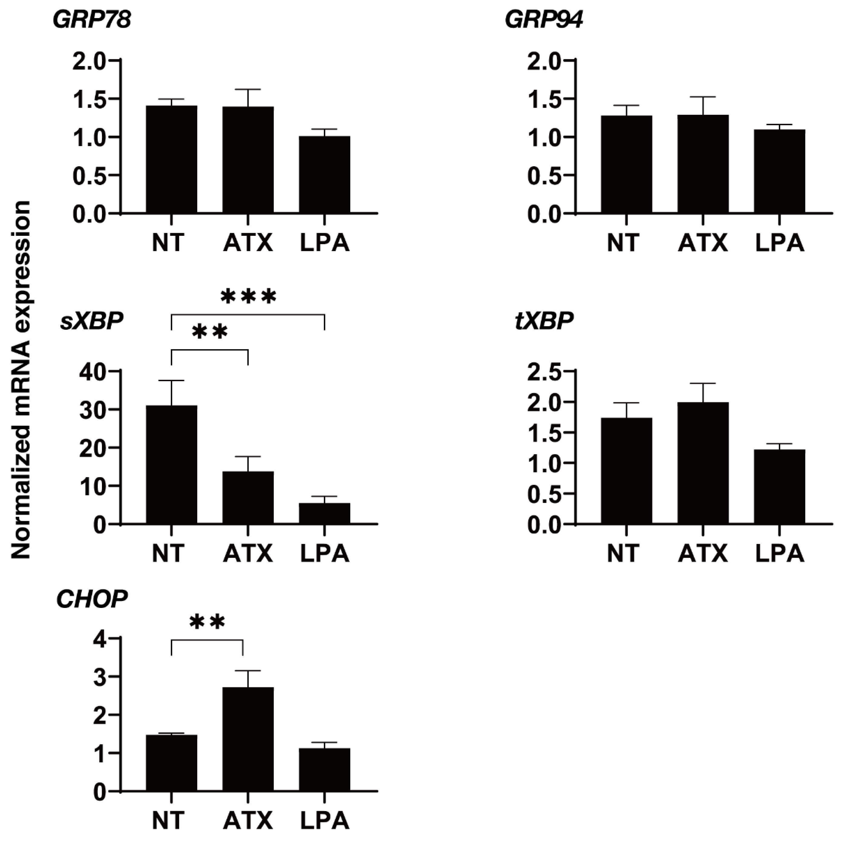 Ijms 22 12039 g007 550