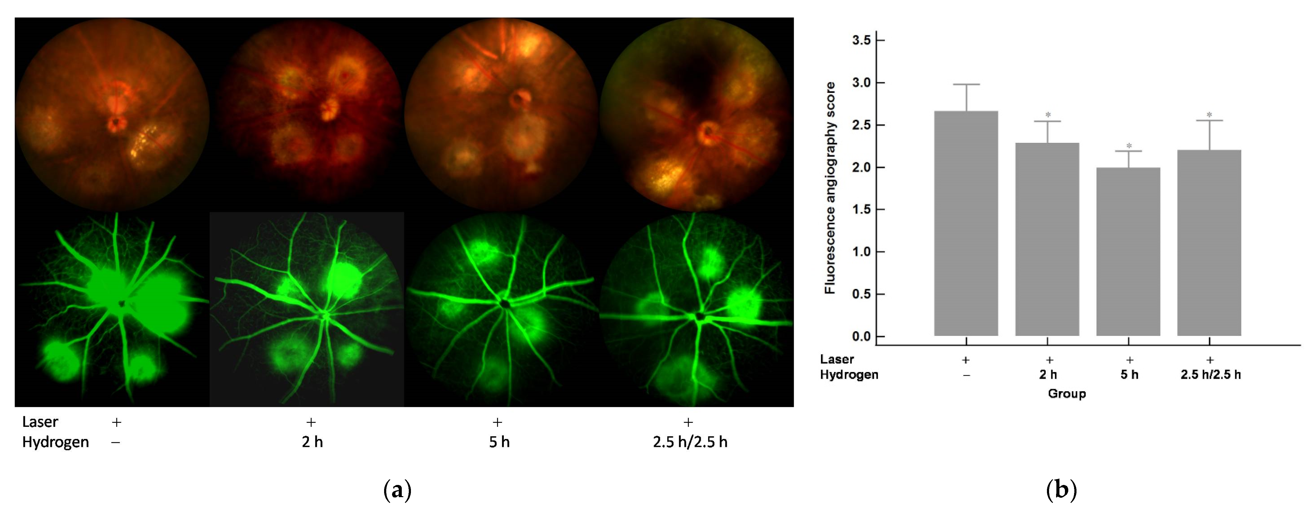 Ijms 22 12049 g001 550