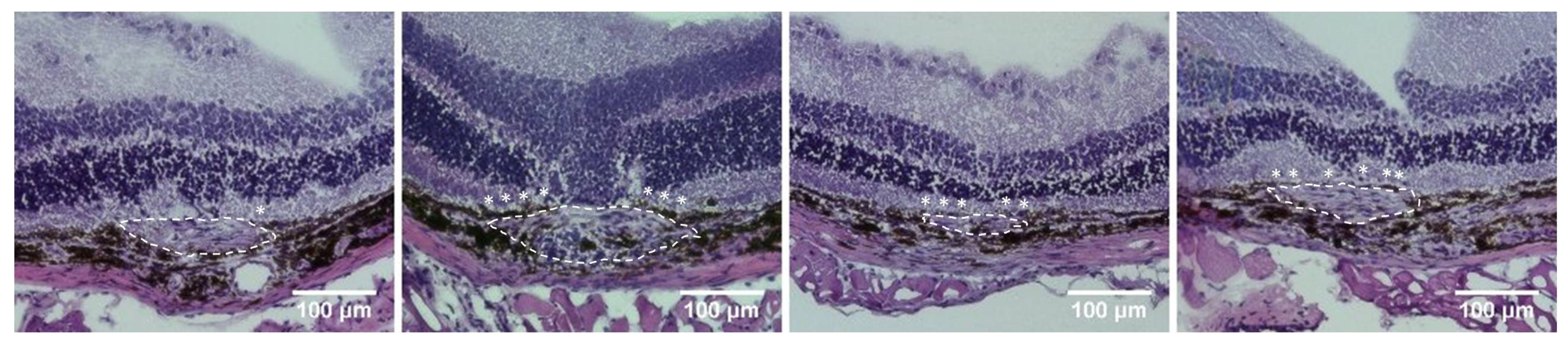 Ijms 22 12049 g003 550