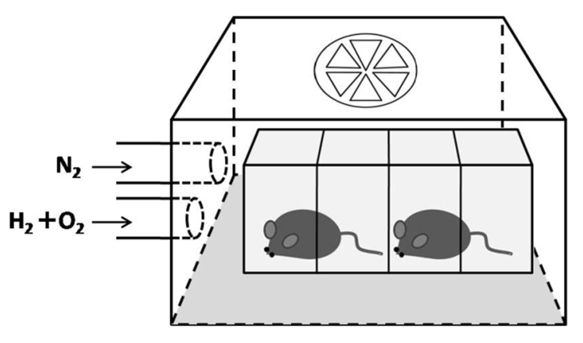 Ijms 22 12049 g007 550