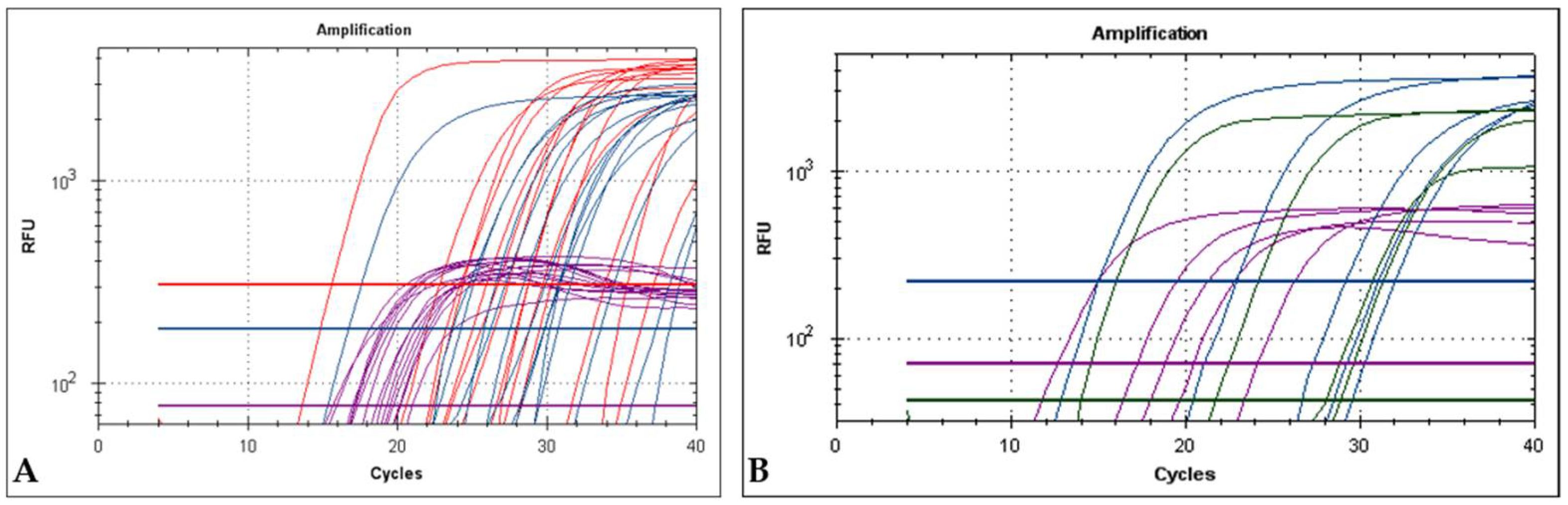 Ijms 22 12052 g005 550