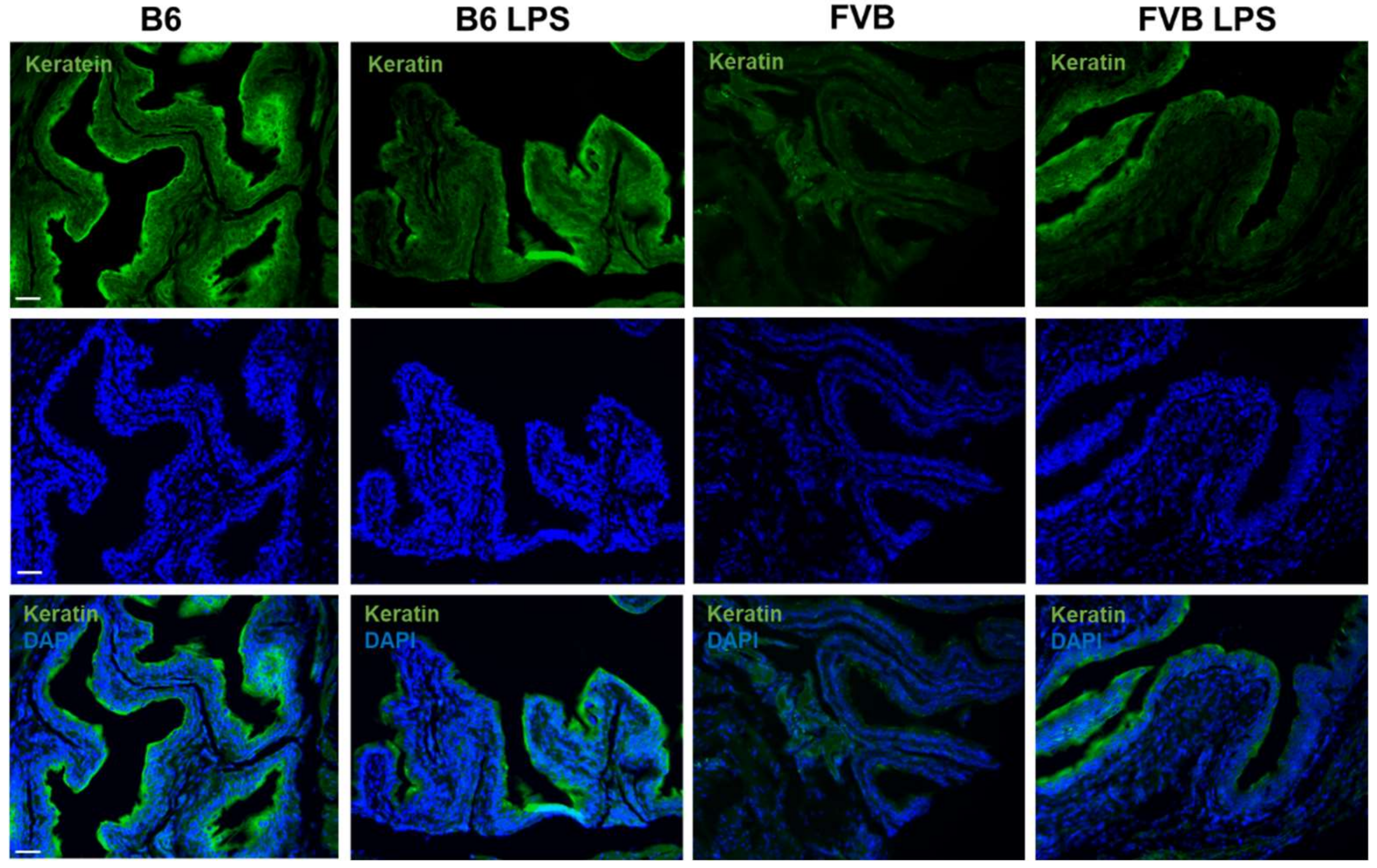 Ijms 22 12053 g009 550